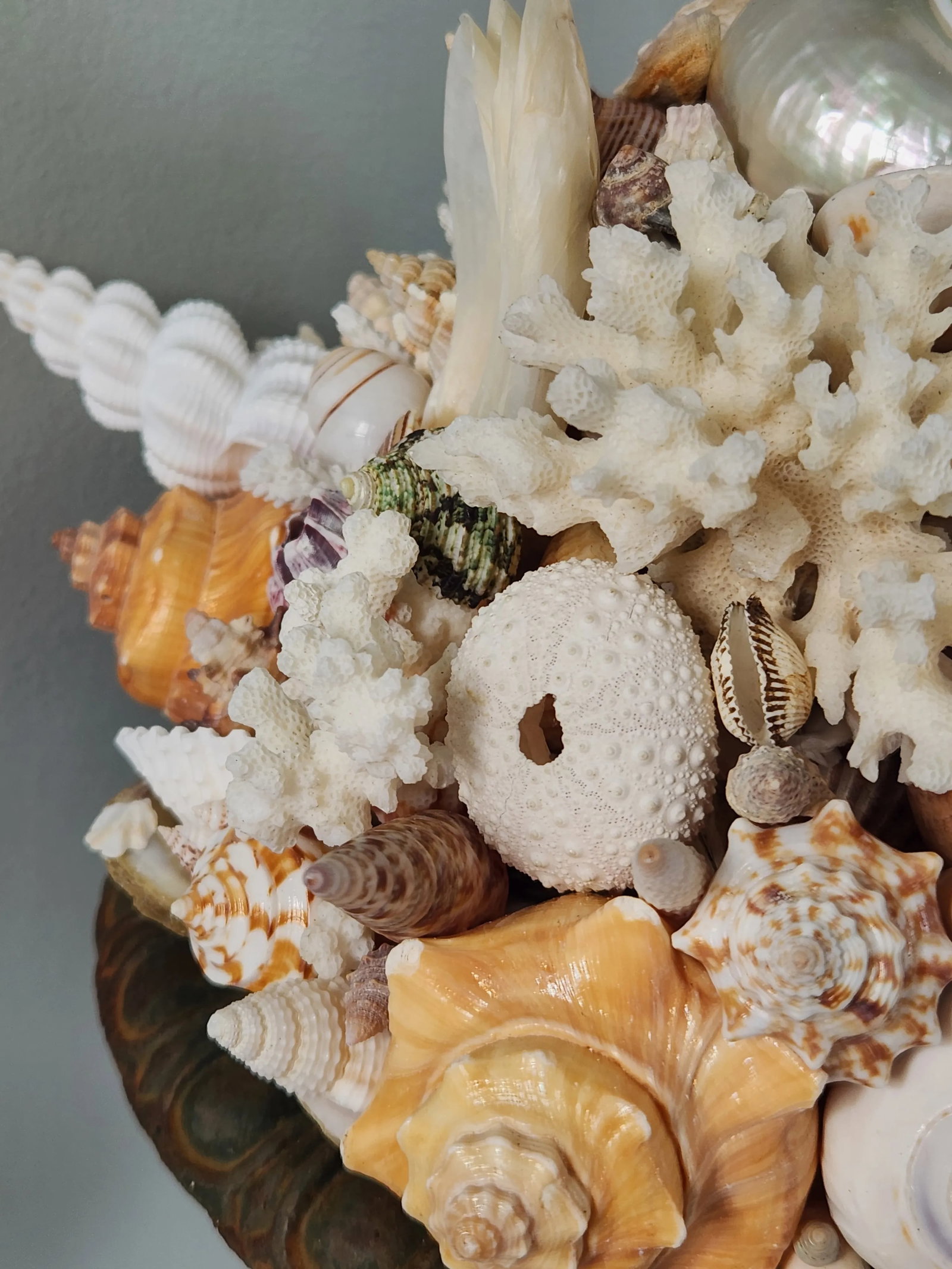 Seashell and Urn Sculpture Topiary - 10