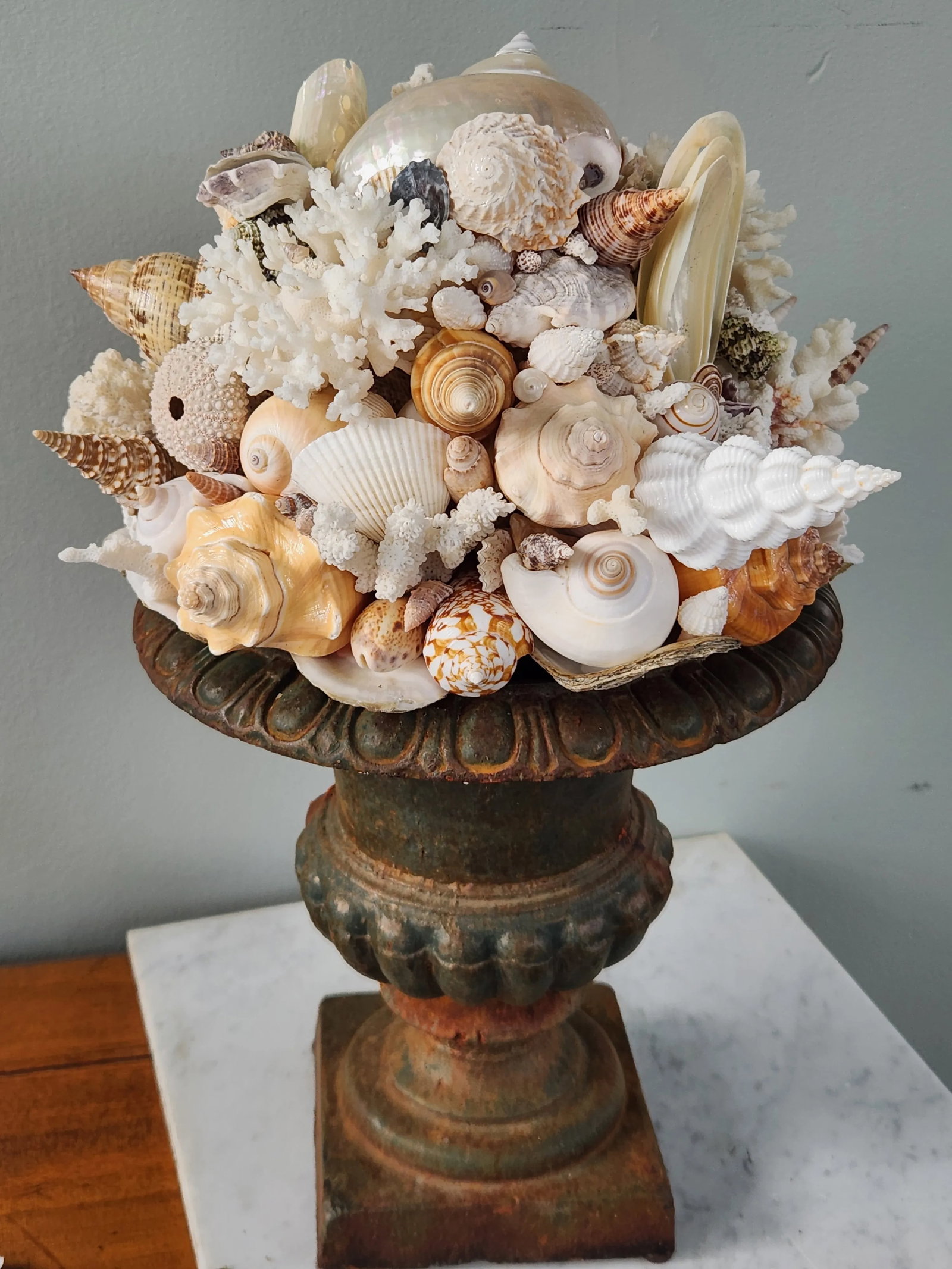 Seashell and Urn Sculpture Topiary - 11