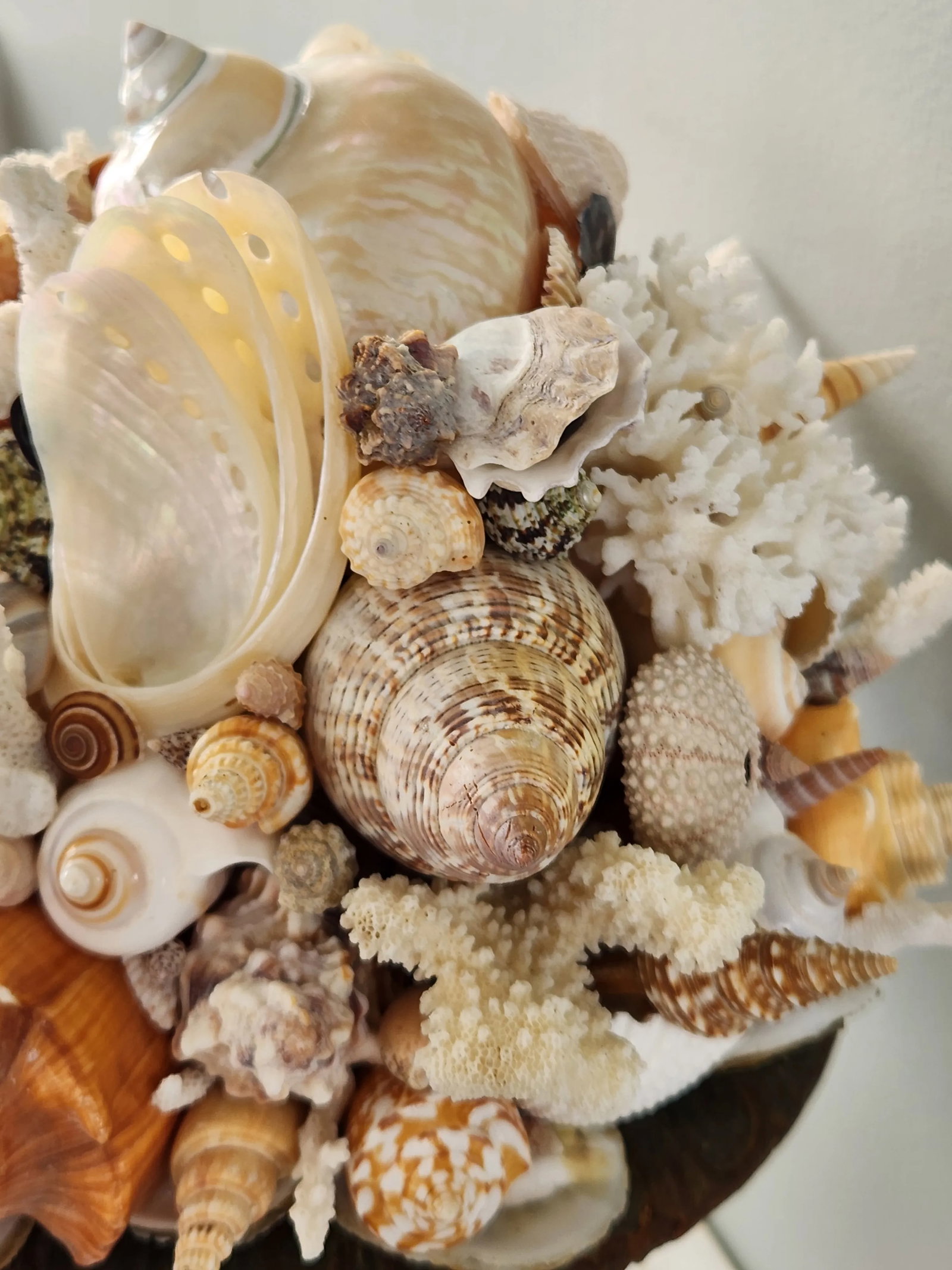 Seashell and Urn Sculpture Topiary - 2