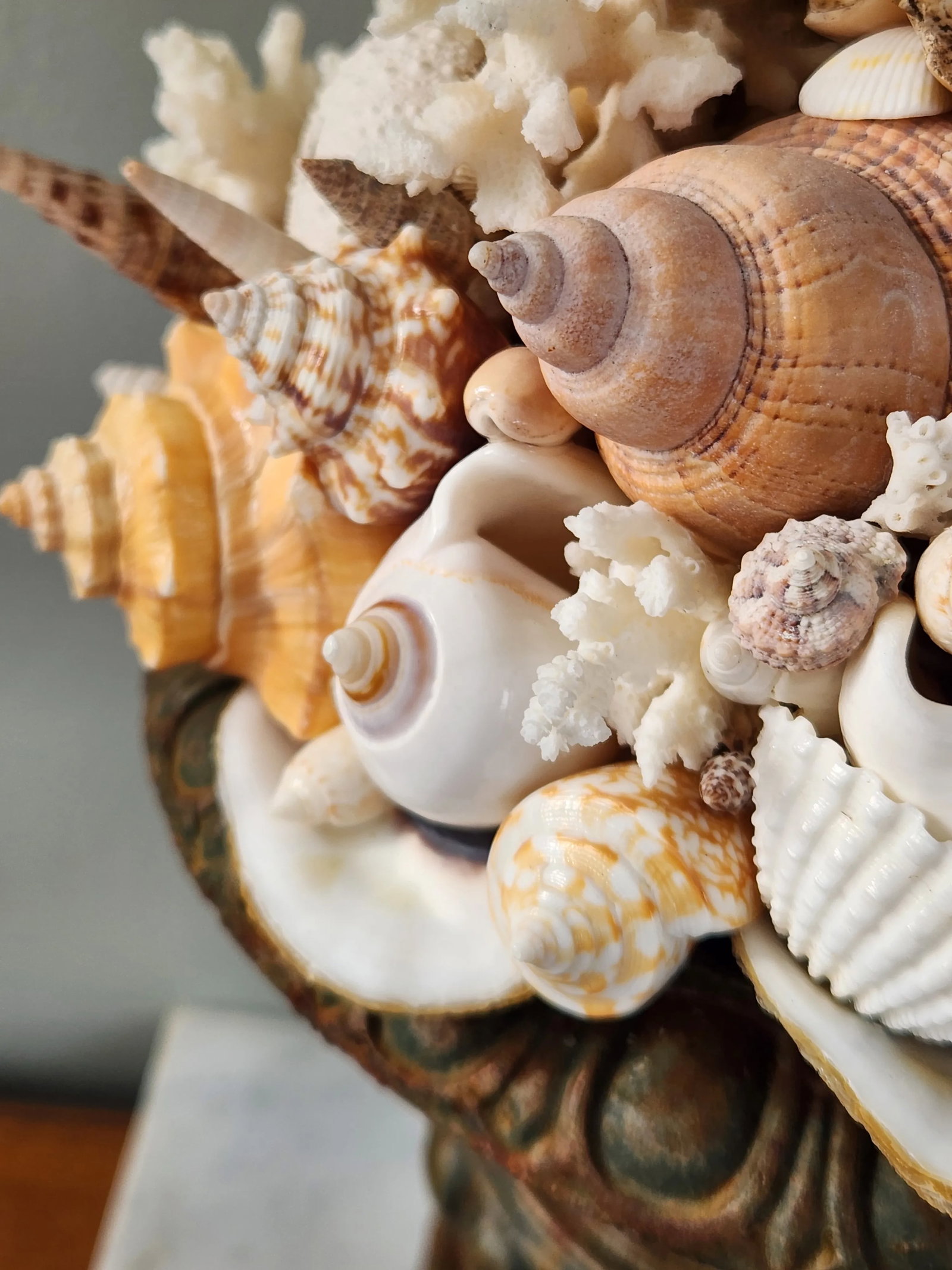 Seashell and Urn Sculpture Topiary - 4