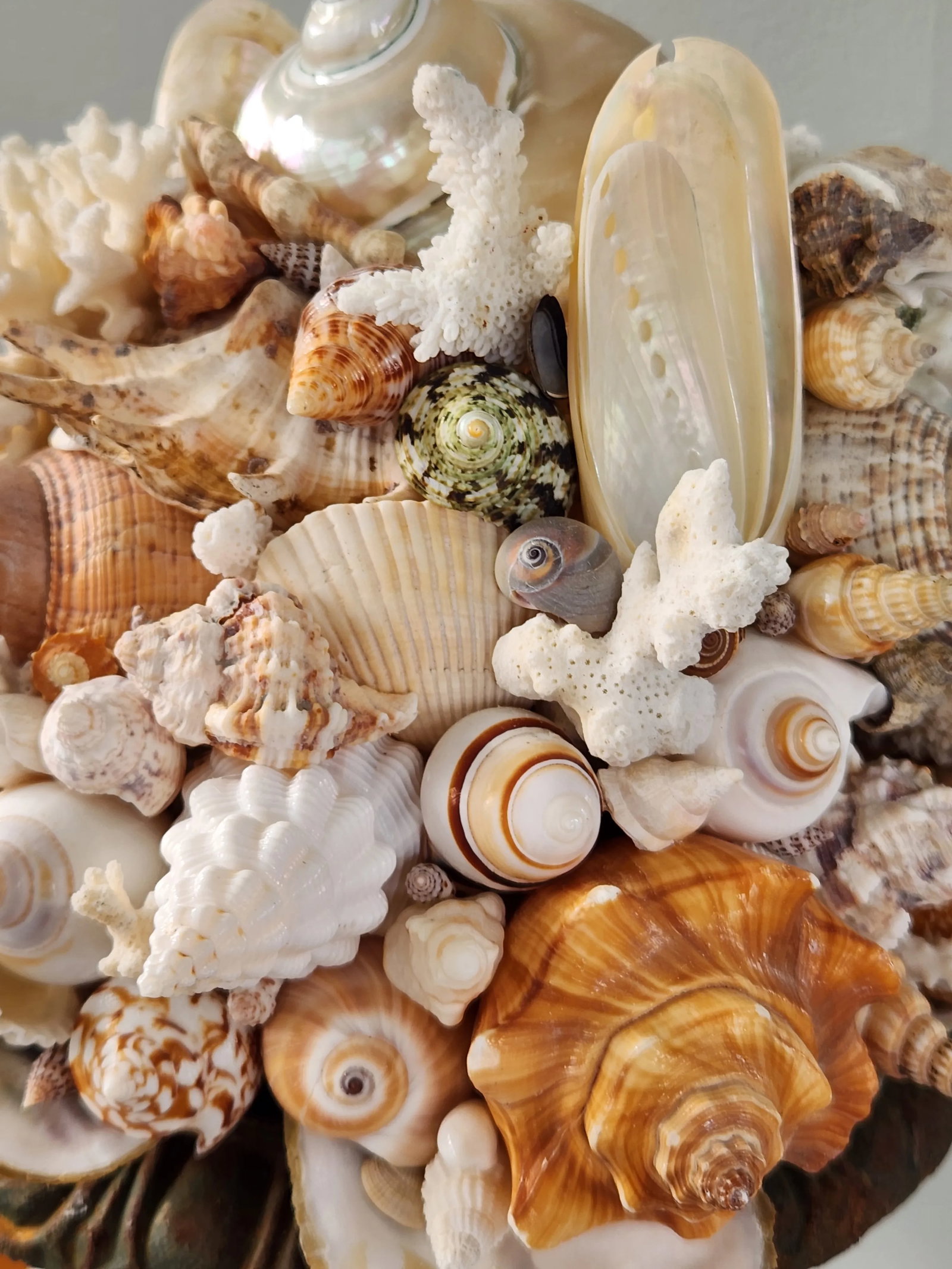 Seashell and Urn Sculpture Topiary - 5