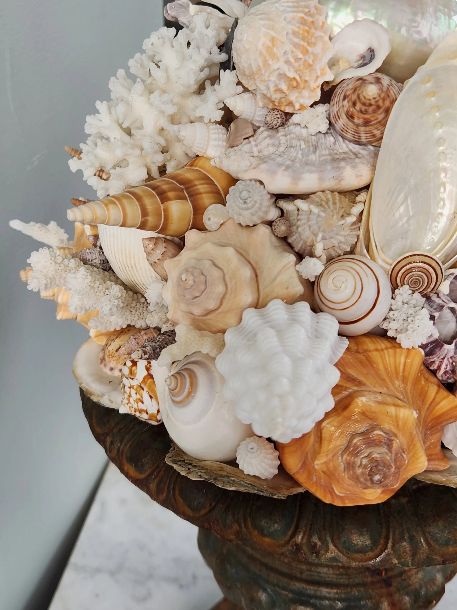 Seashell and Urn Sculpture Topiary - 6