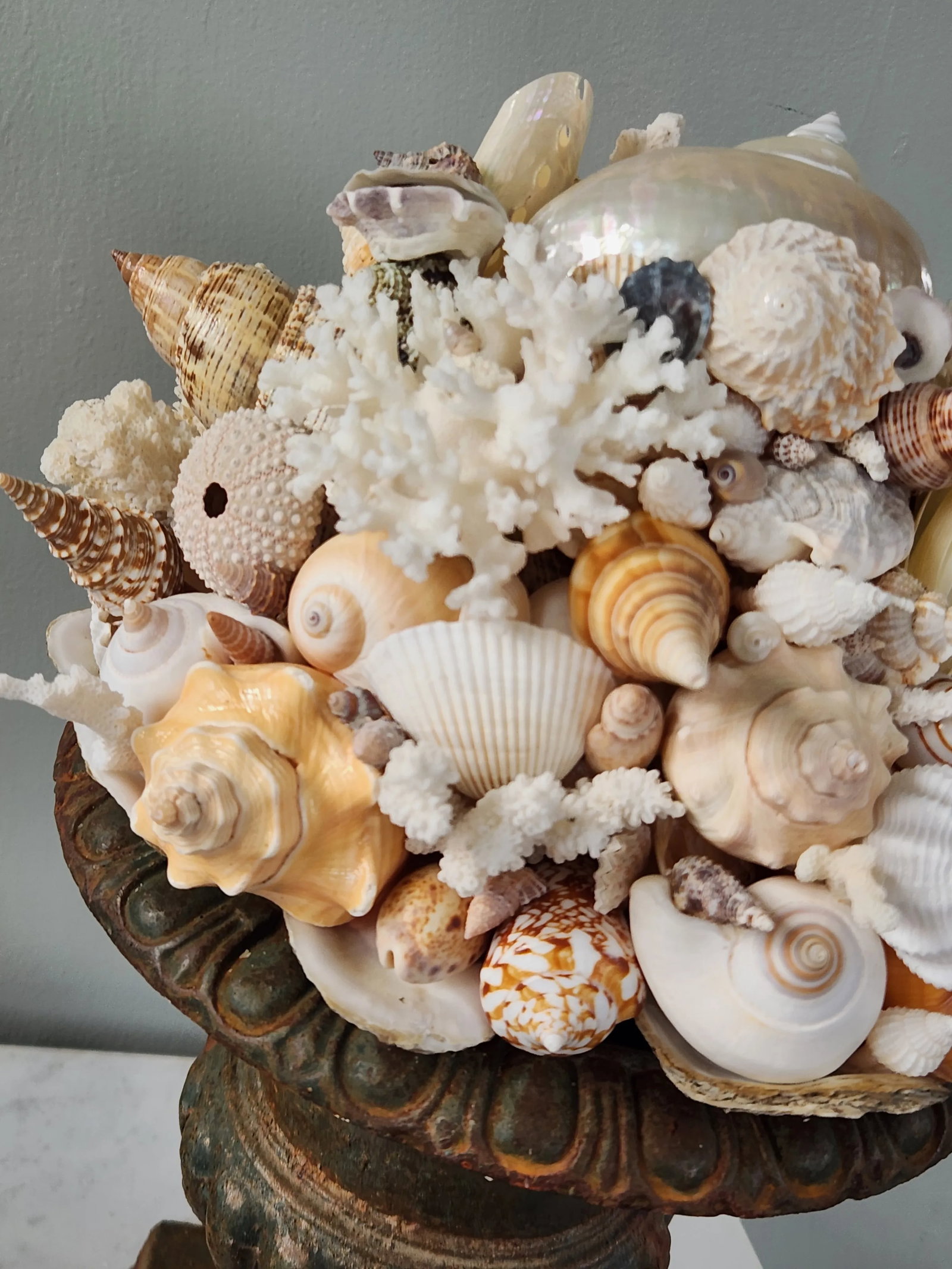 Seashell and Urn Sculpture Topiary - 7