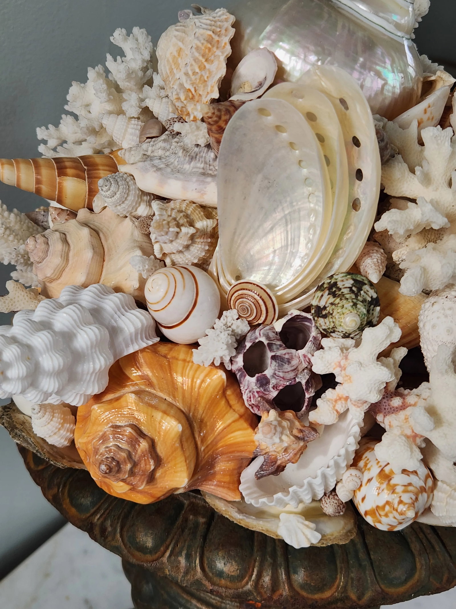 Seashell and Urn Sculpture Topiary - 8