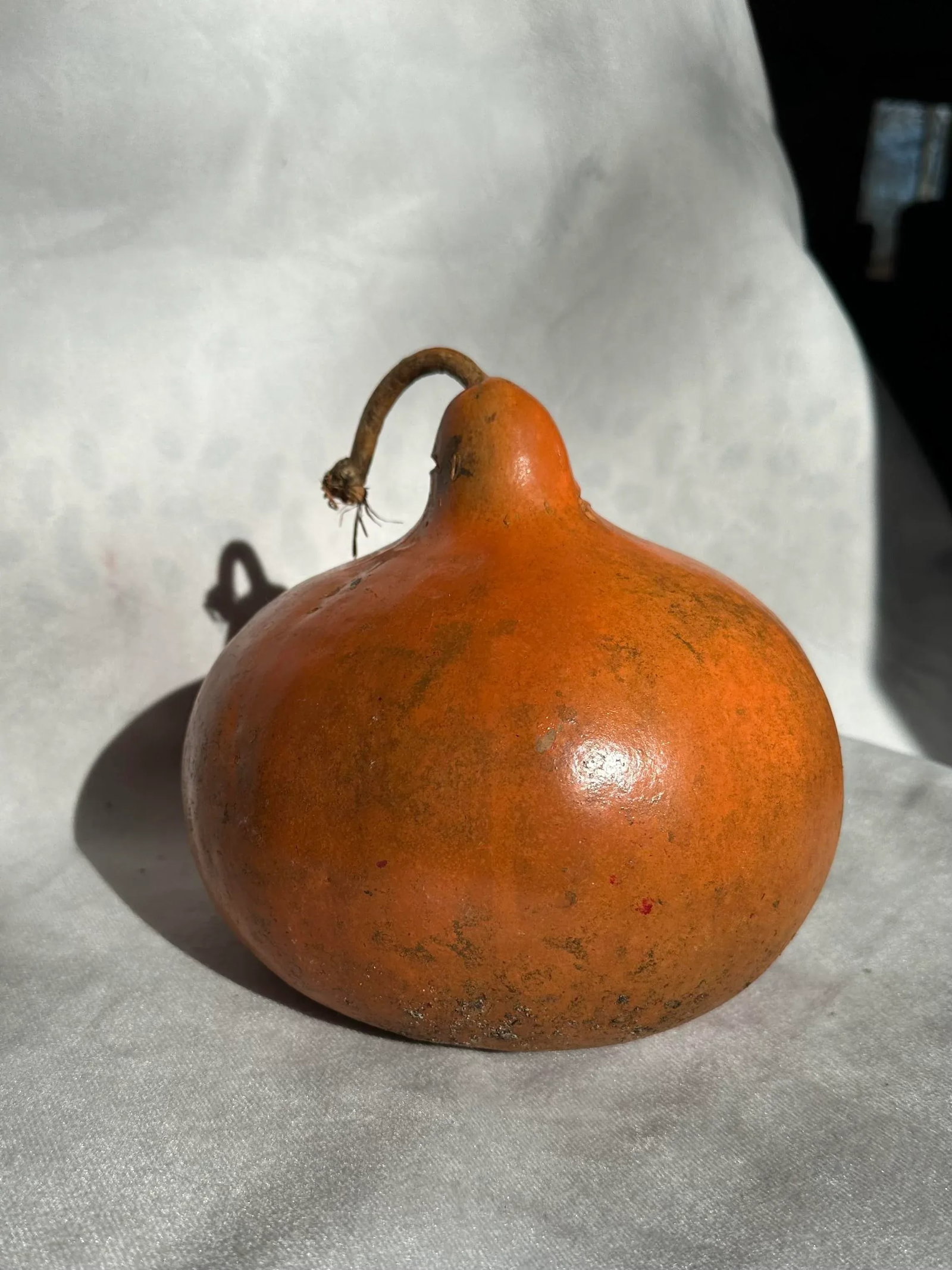Vintage Painted and Natural Hollow Large Gourds - Set of 4 - 2