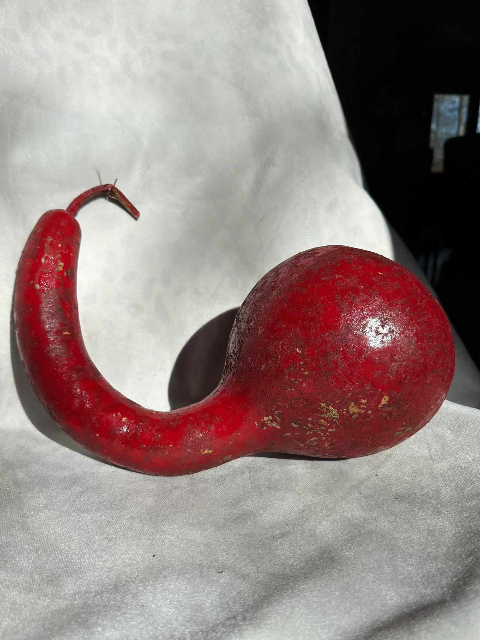 Vintage Painted and Natural Hollow Large Gourds - Set of 4 - 5