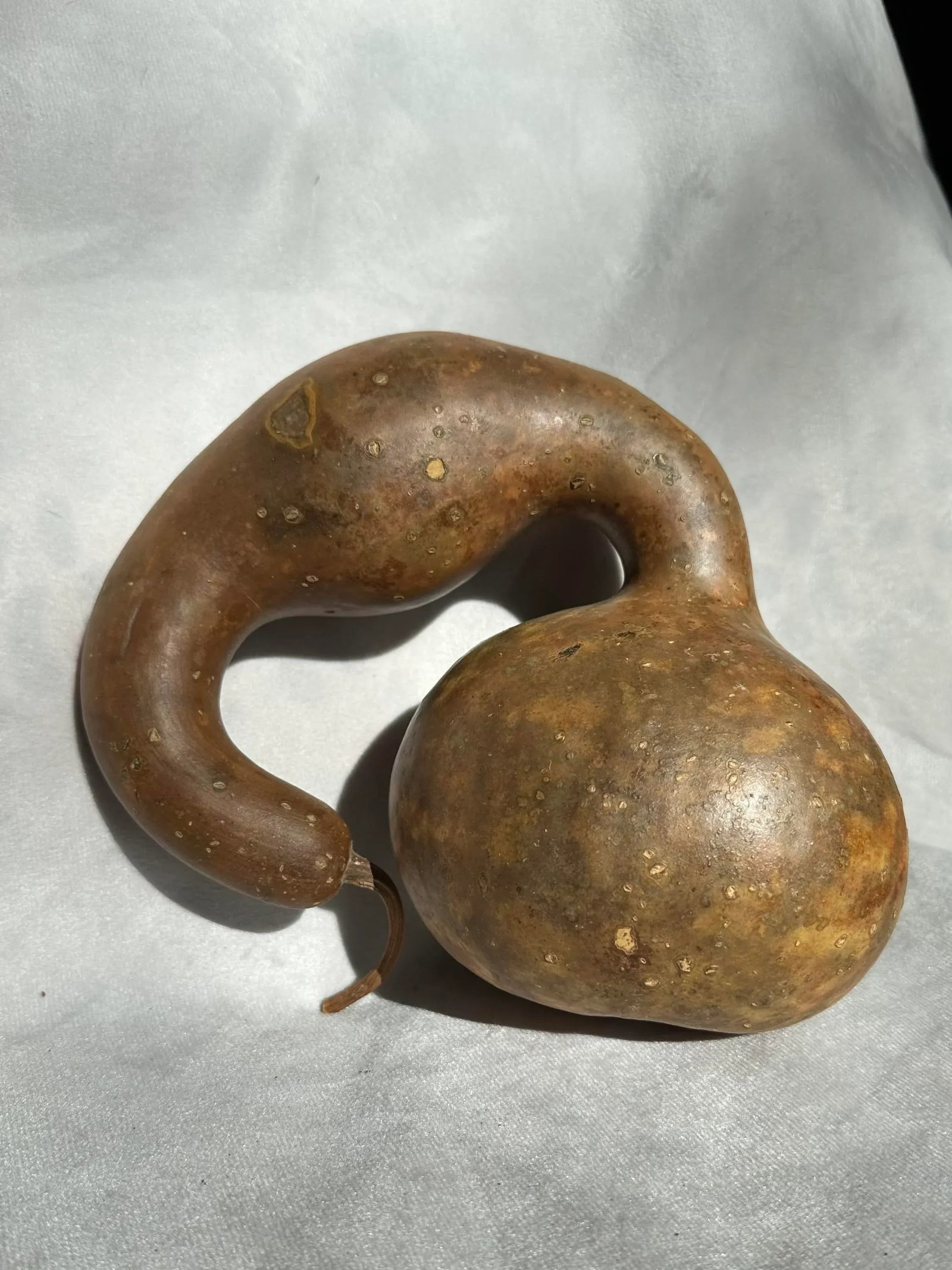 Vintage Painted and Natural Hollow Large Gourds - Set of 4 - 7