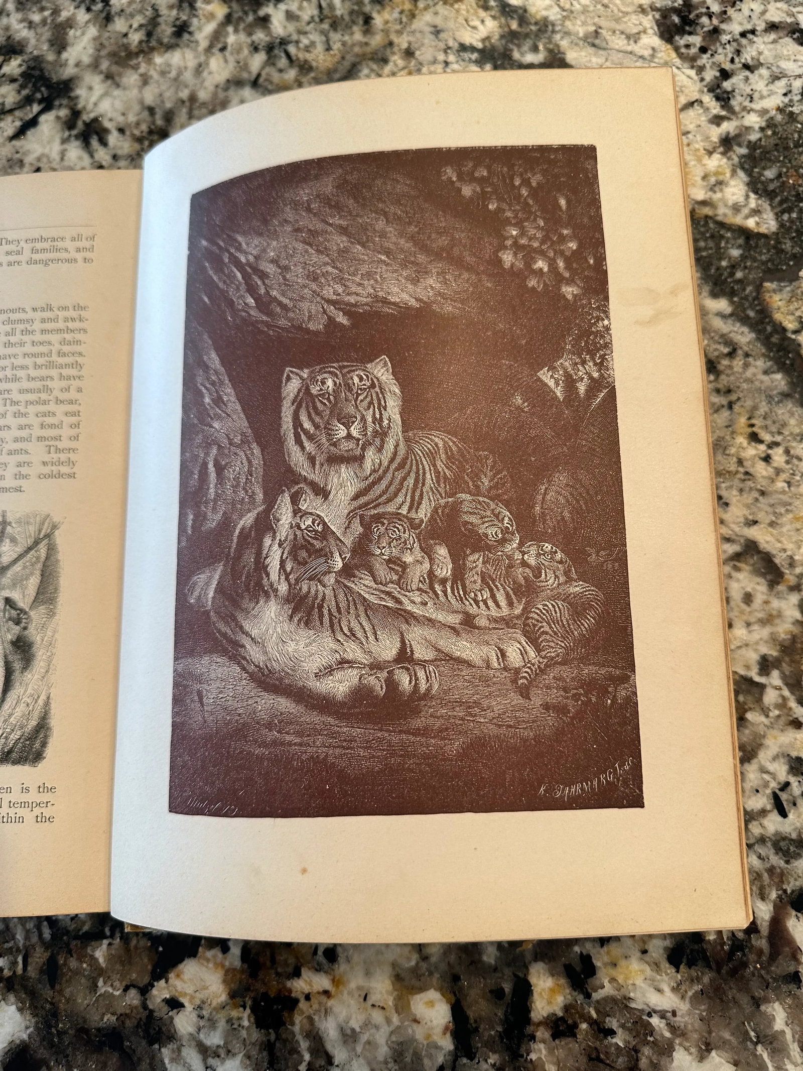 Antique Hardcover Book 1888 Worthington's Annual Children's Gift Book Stories Poems Illustration - 5