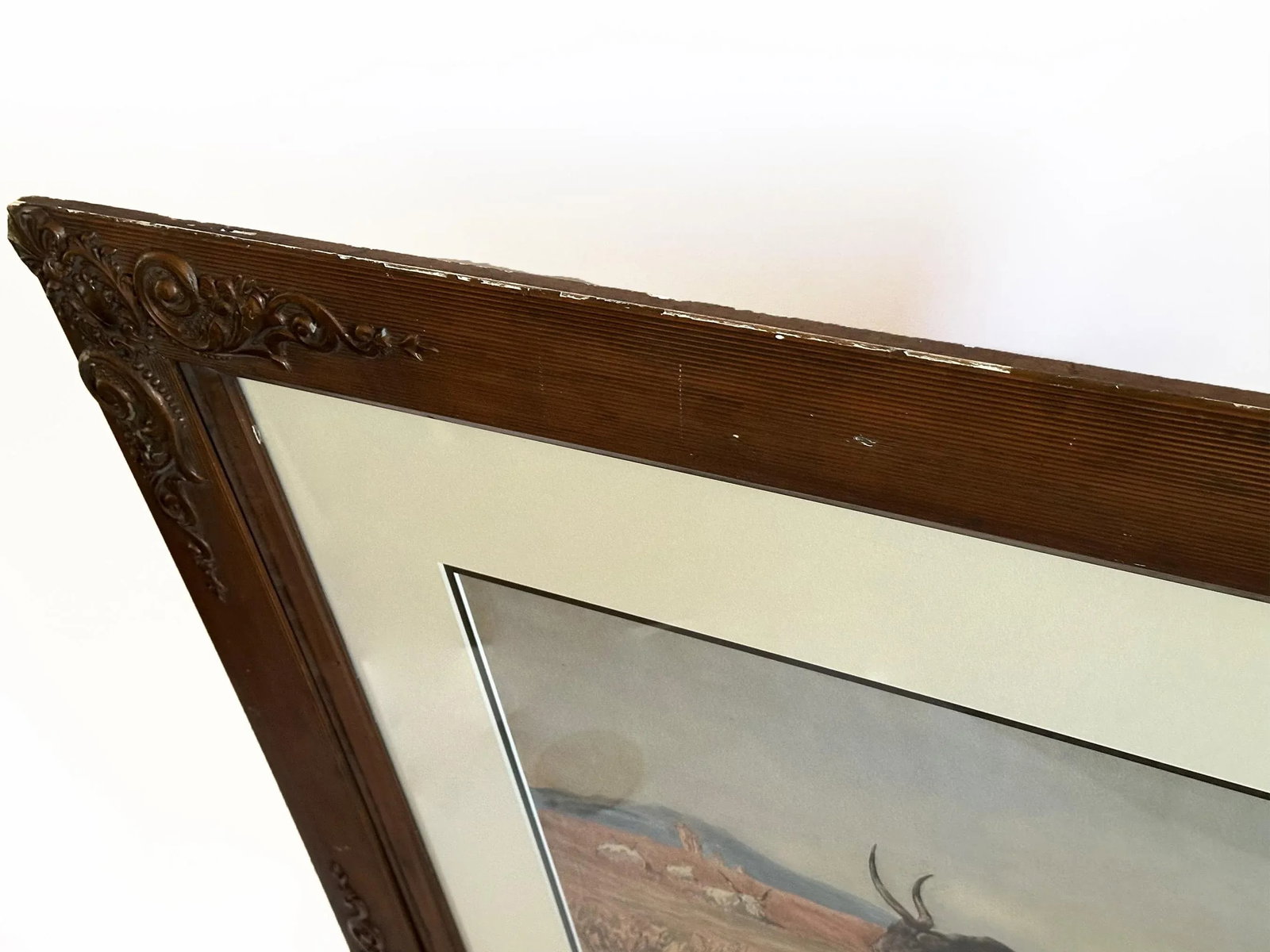 1800s Antique Longhorn Bull Painting Watercolor on Paper by Leopoldo Mariotti - 10