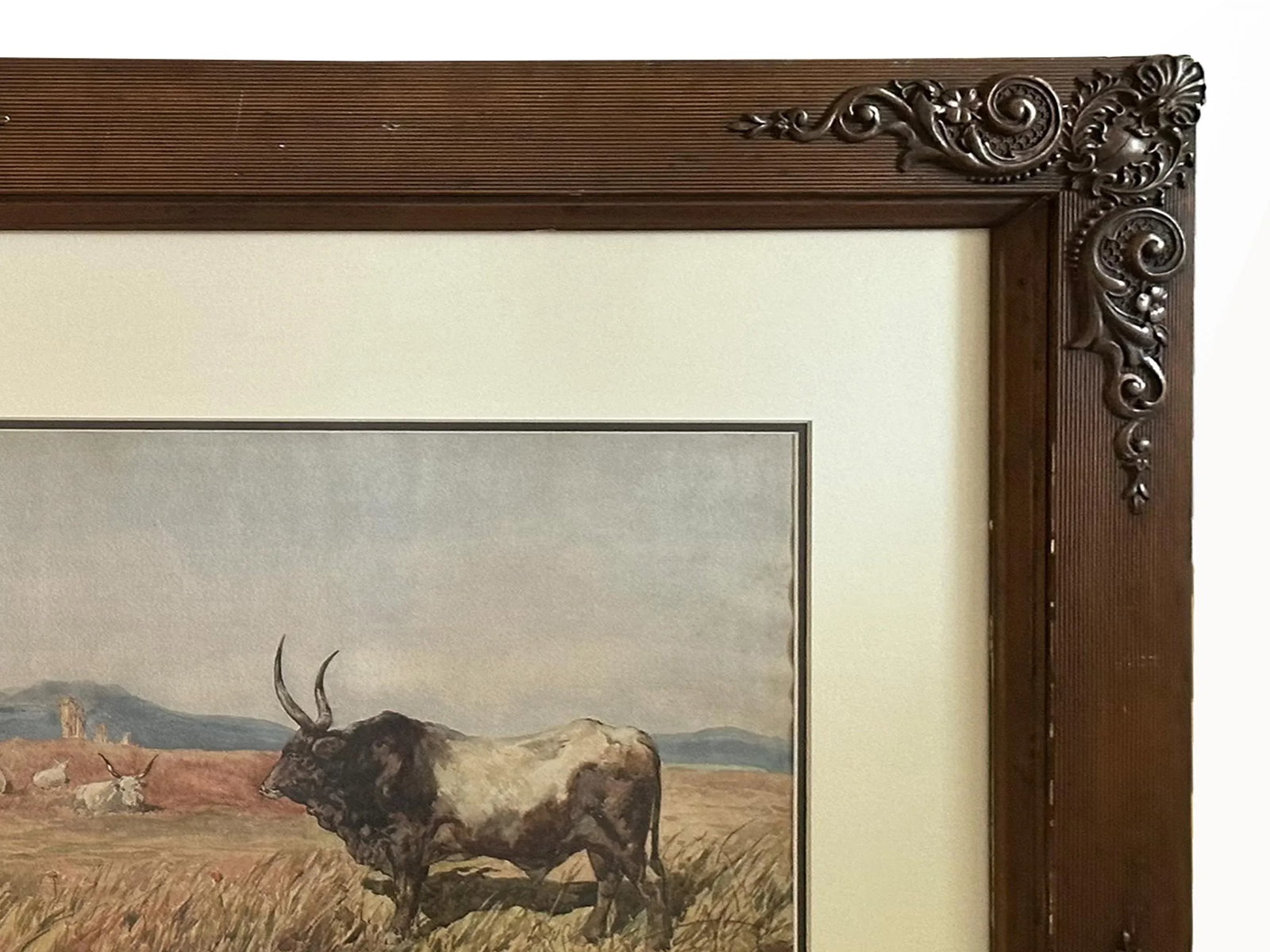1800s Antique Longhorn Bull Painting Watercolor on Paper by Leopoldo Mariotti - 6
