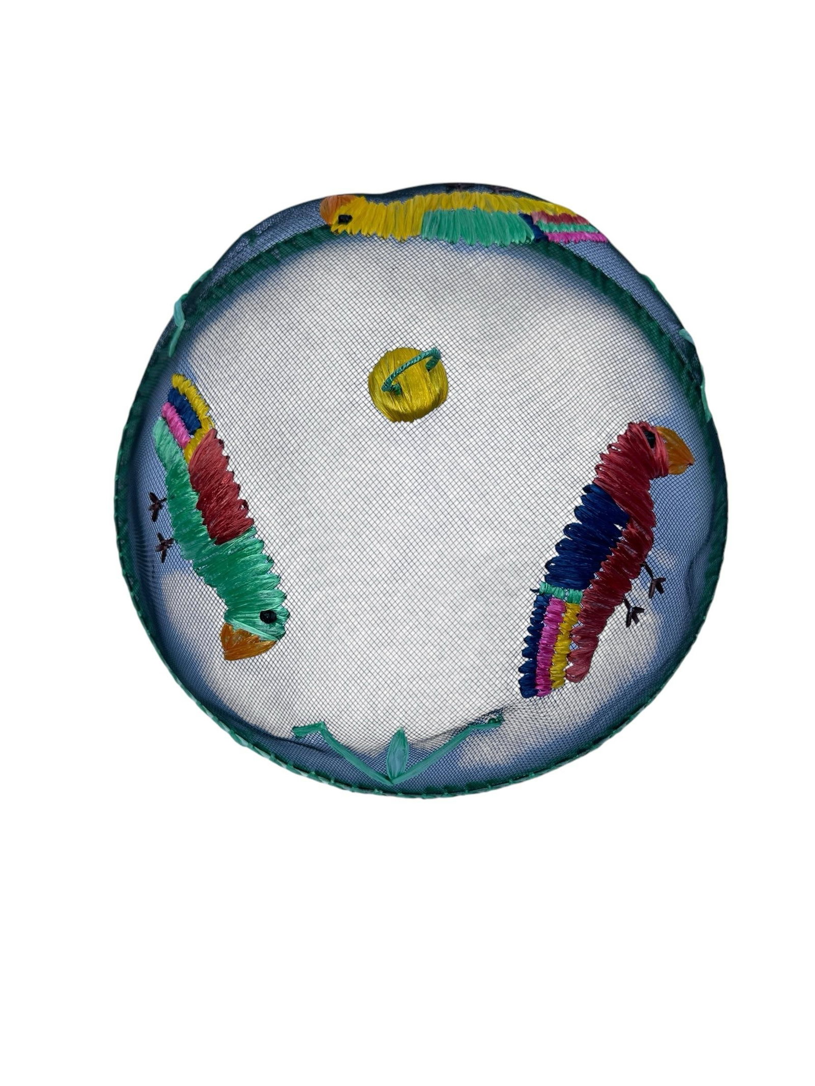 Vintage Mesh & Raffia Picnic Platter Cover Cloche - 4