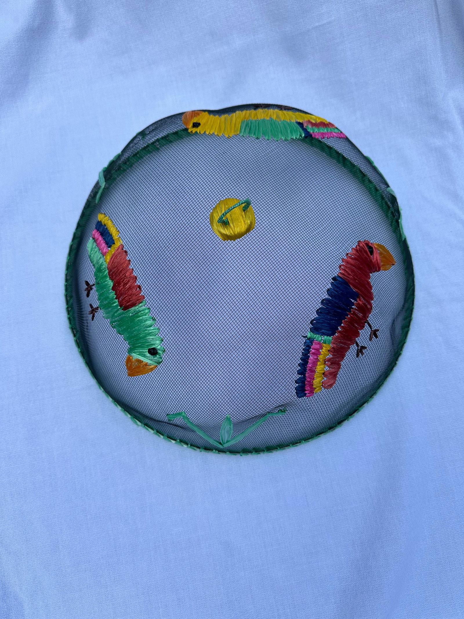 Vintage Mesh & Raffia Picnic Platter Cover Cloche - 9