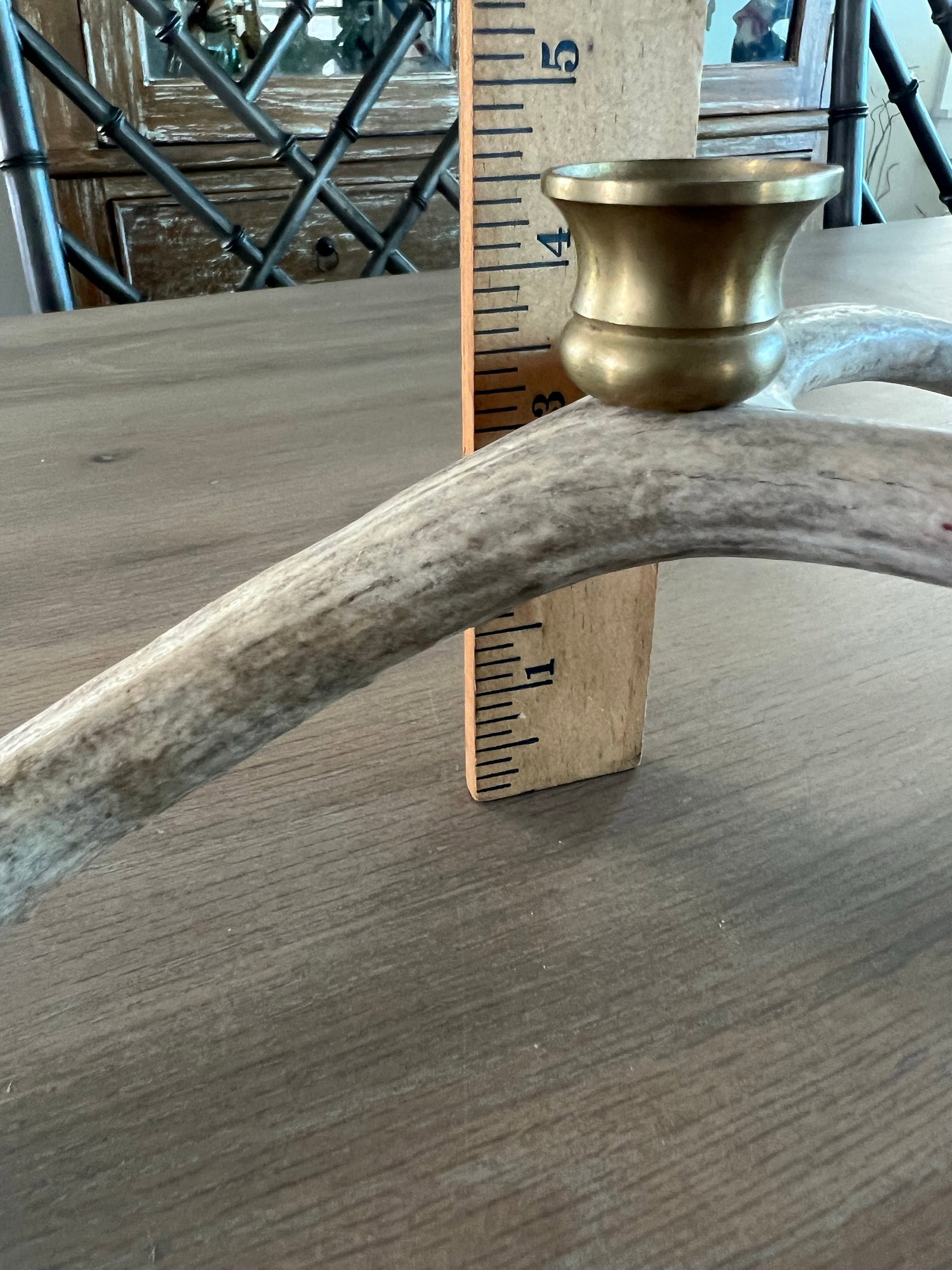 Vintage Natural Drop Deer Antler Candelabra - 9