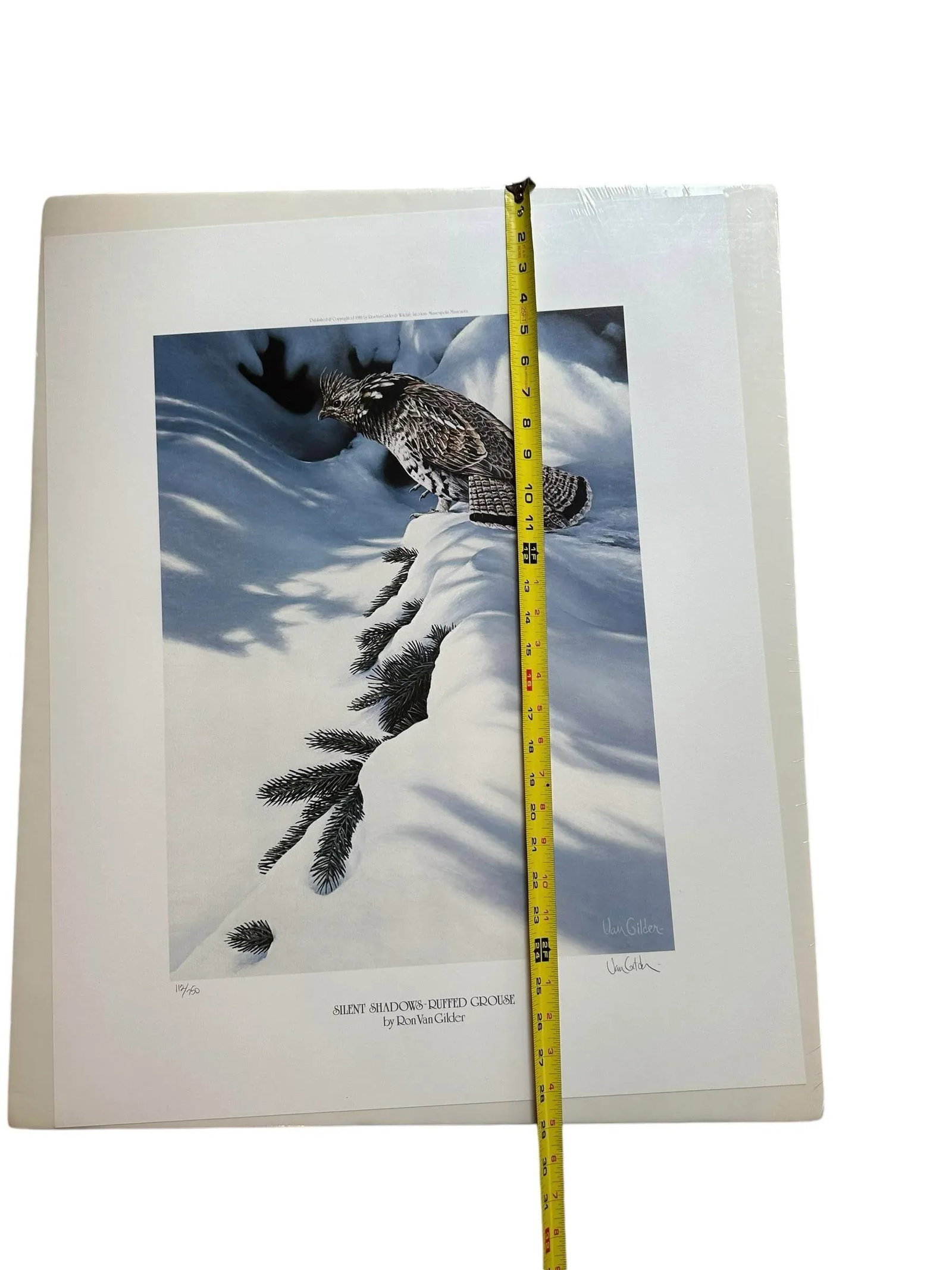 Signed Numbered Ron Van Gilder Limited Edition Color Lithograph Print Silent Shadows Ruffed Grouse - 10