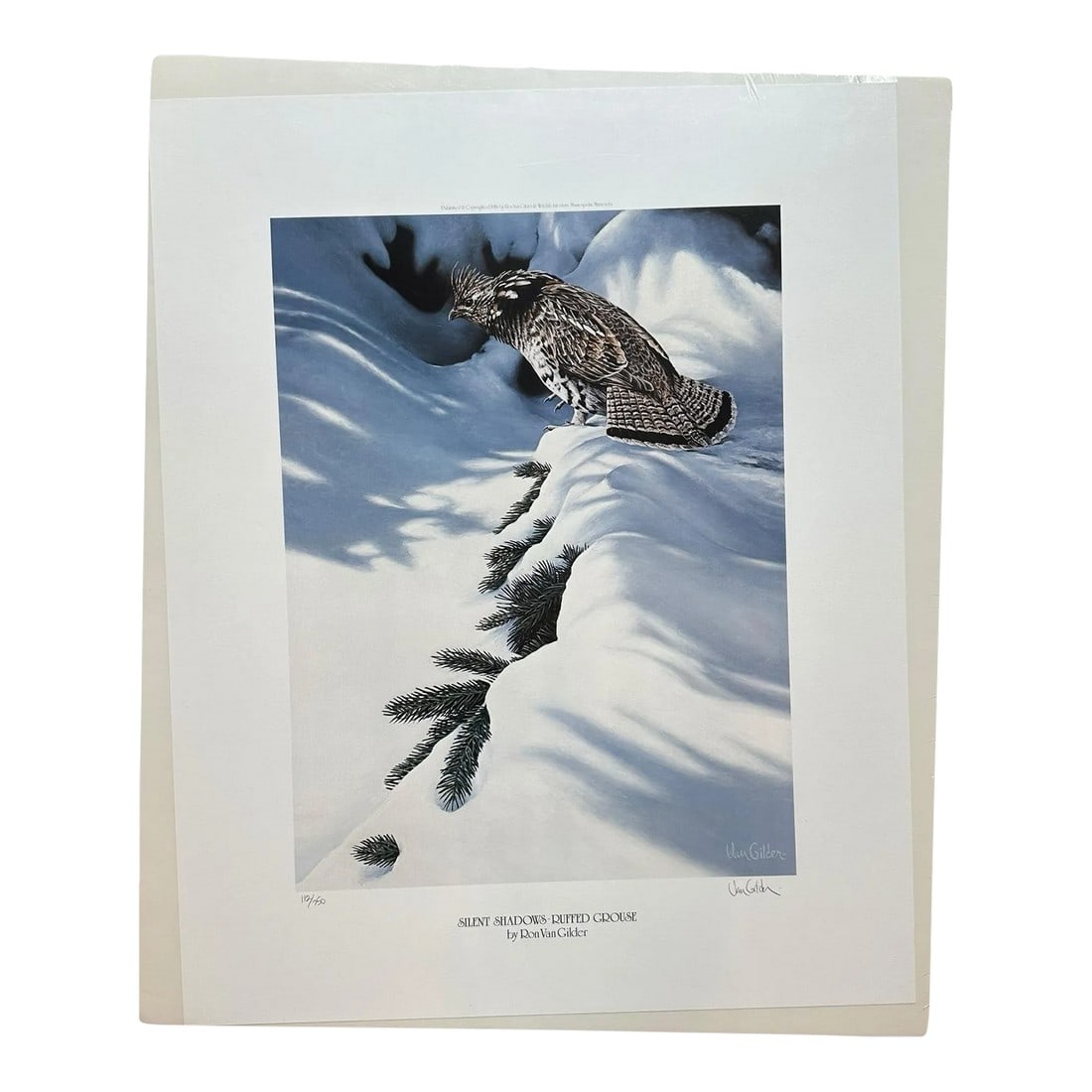 Signed Numbered Ron Van Gilder Limited Edition Color Lithograph Print Silent Shadows Ruffed Grouse (1 of 10)