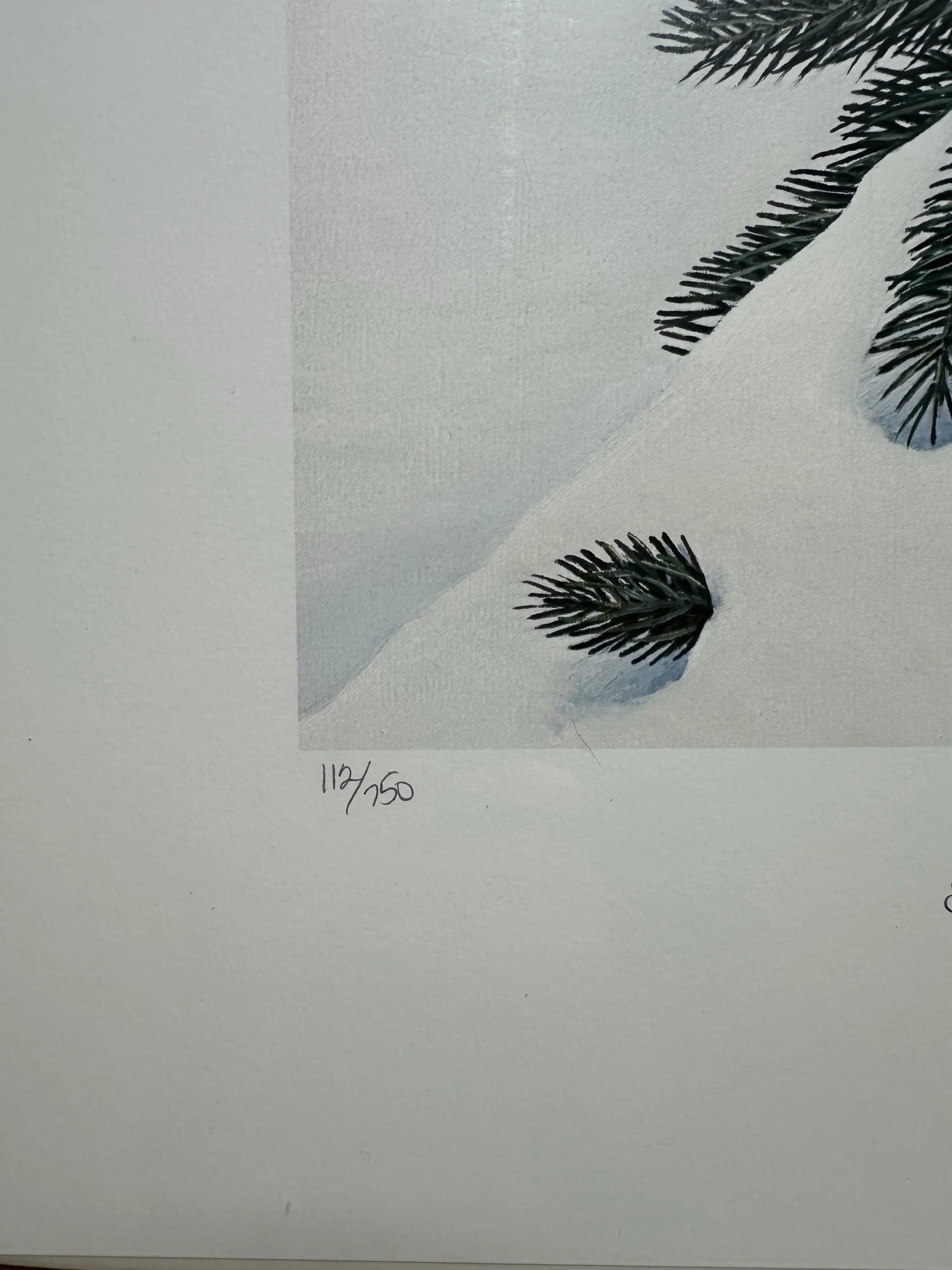 Signed Numbered Ron Van Gilder Limited Edition Color Lithograph Print Silent Shadows Ruffed Grouse - 2