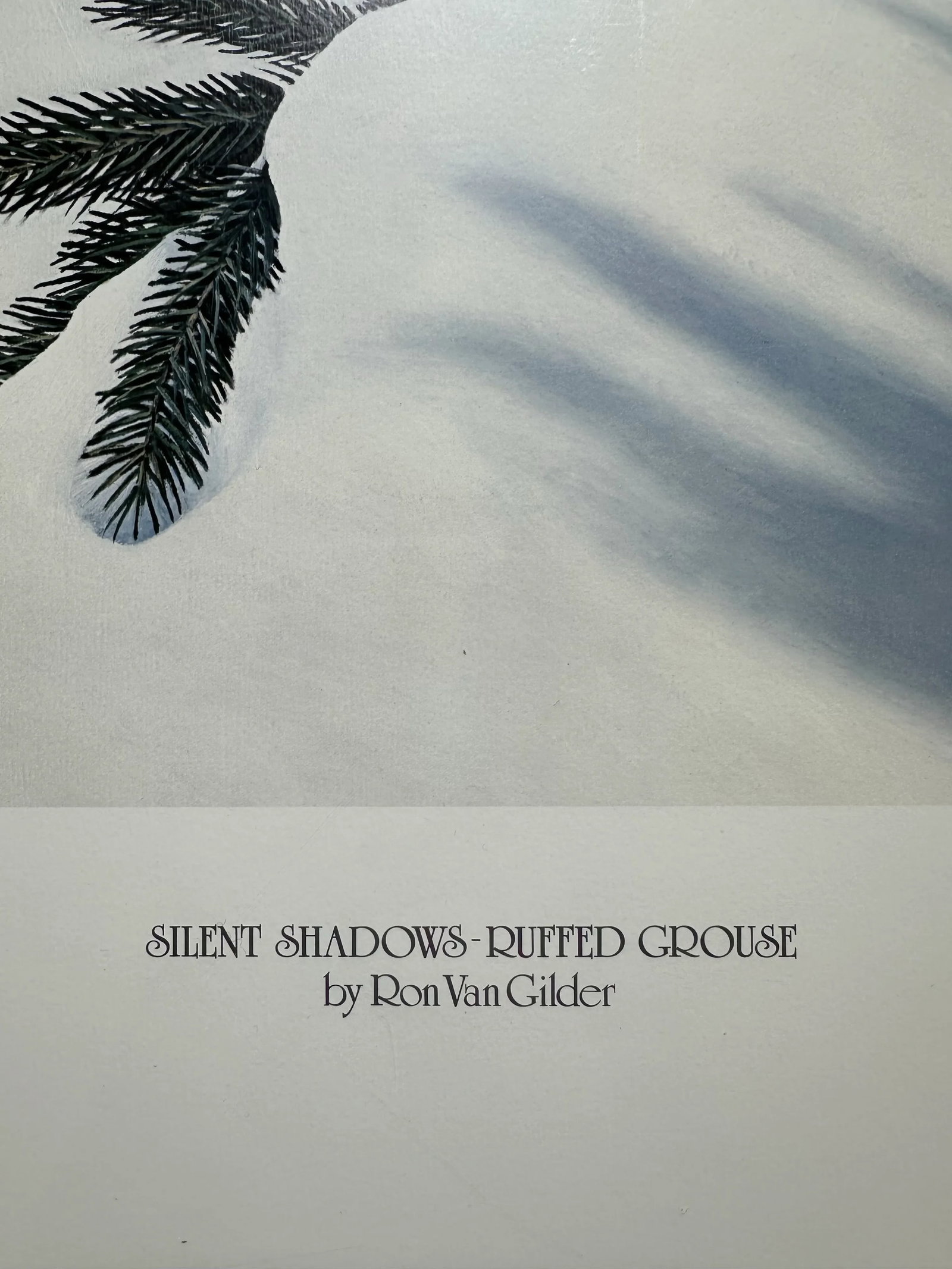 Signed Numbered Ron Van Gilder Limited Edition Color Lithograph Print Silent Shadows Ruffed Grouse - 3