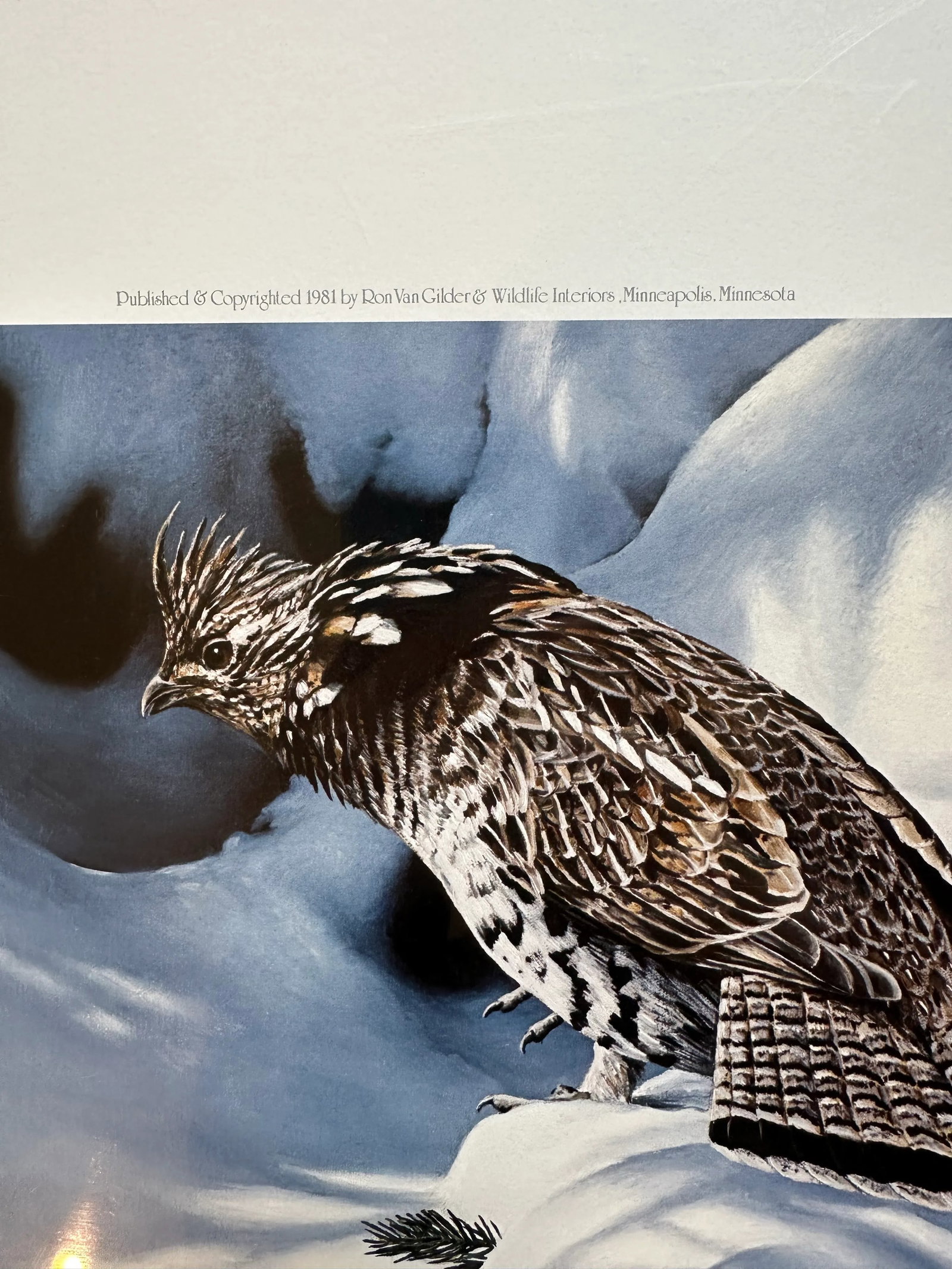 Signed Numbered Ron Van Gilder Limited Edition Color Lithograph Print Silent Shadows Ruffed Grouse - 5