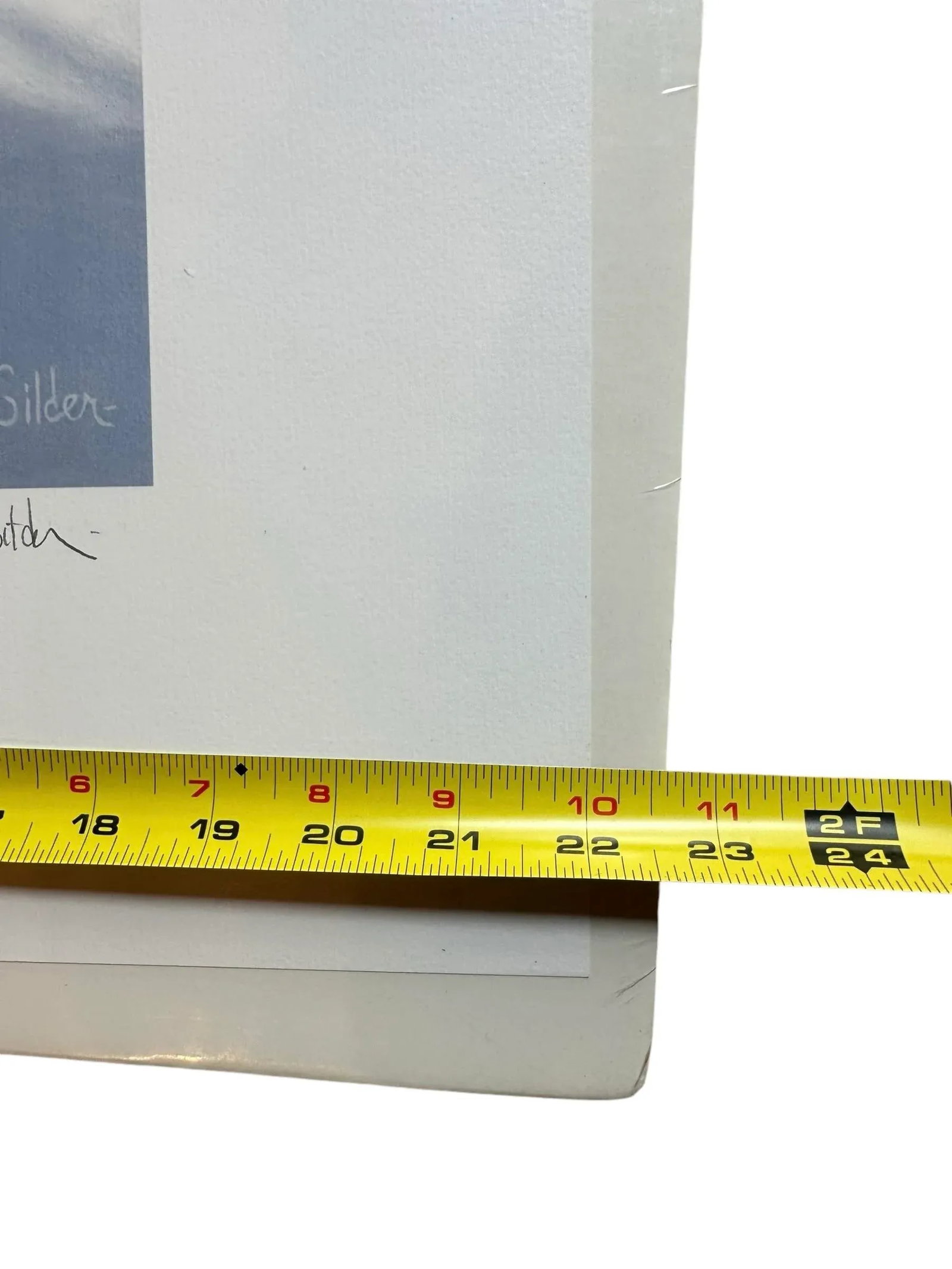 Signed Numbered Ron Van Gilder Limited Edition Color Lithograph Print Silent Shadows Ruffed Grouse - 7