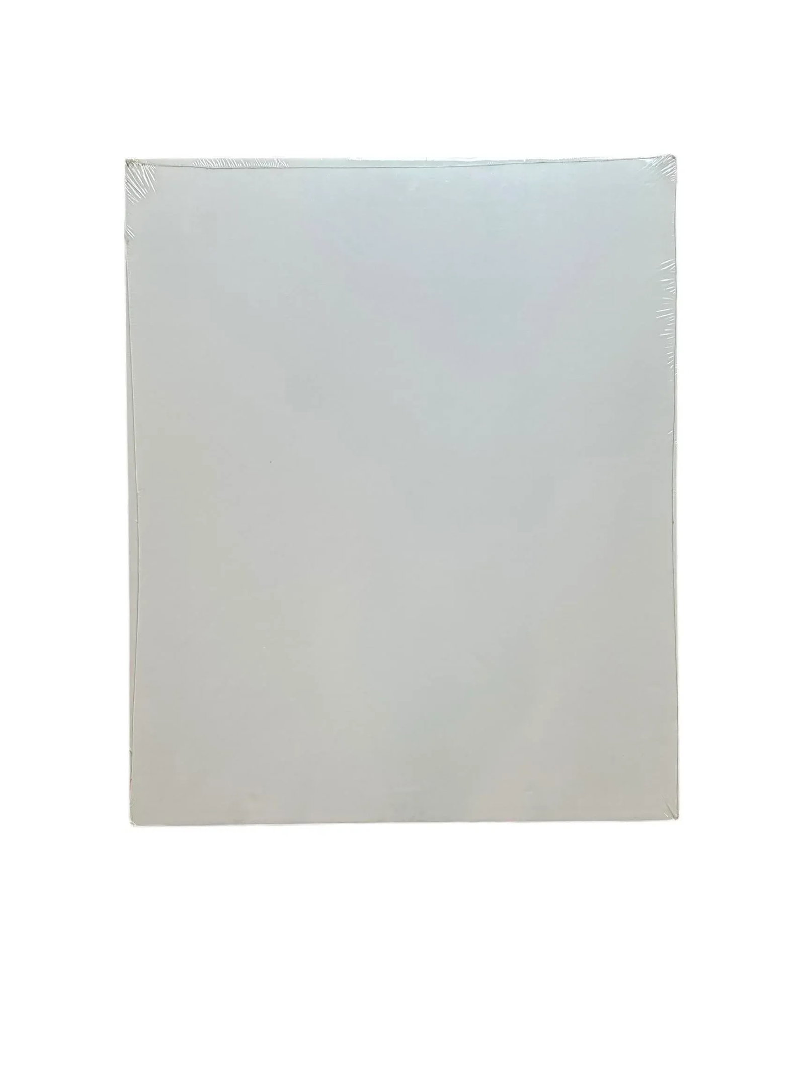 Signed Numbered Ron Van Gilder Limited Edition Color Lithograph Print Silent Shadows Ruffed Grouse - 8