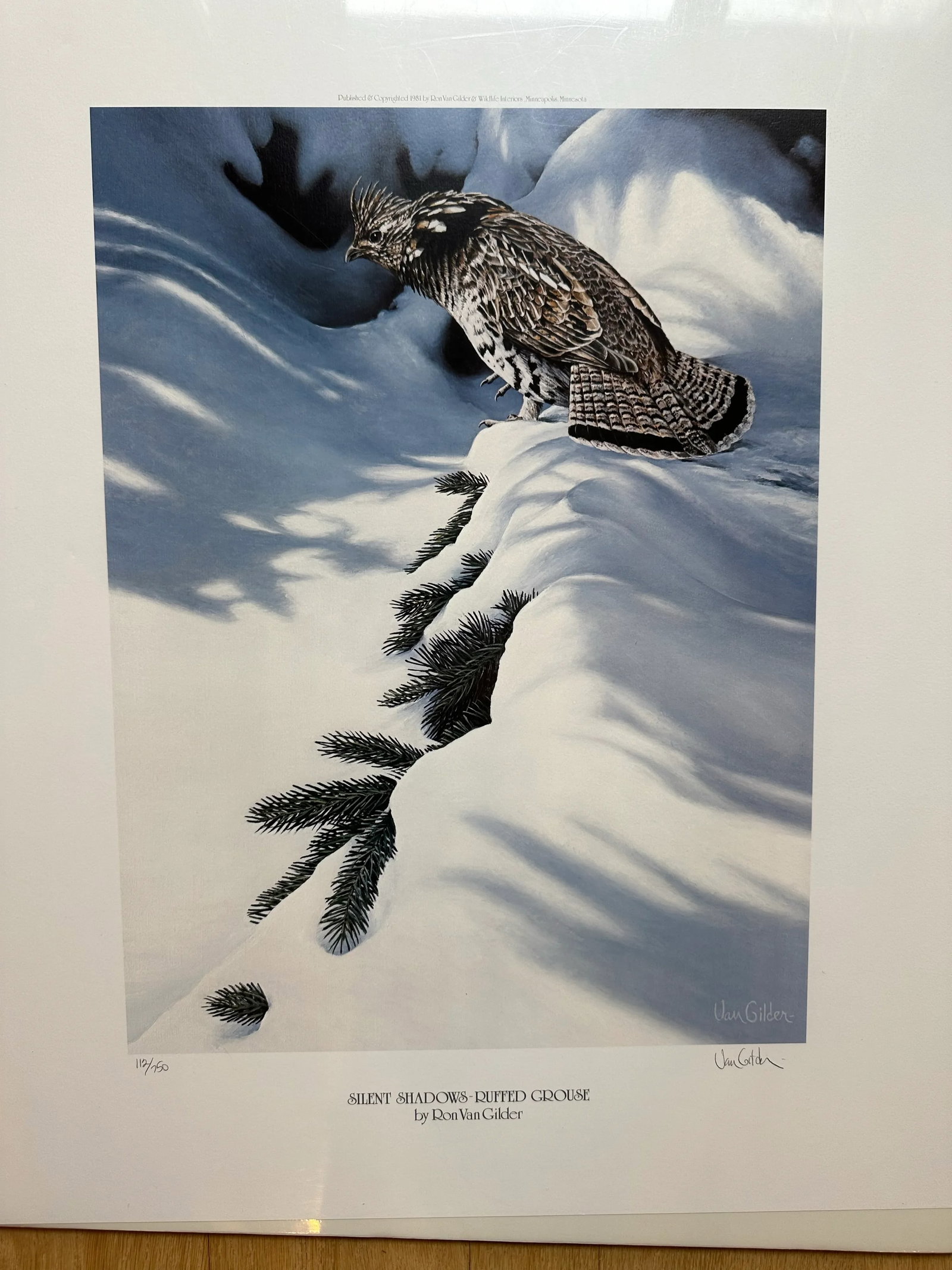 Signed Numbered Ron Van Gilder Limited Edition Color Lithograph Print Silent Shadows Ruffed Grouse - 9