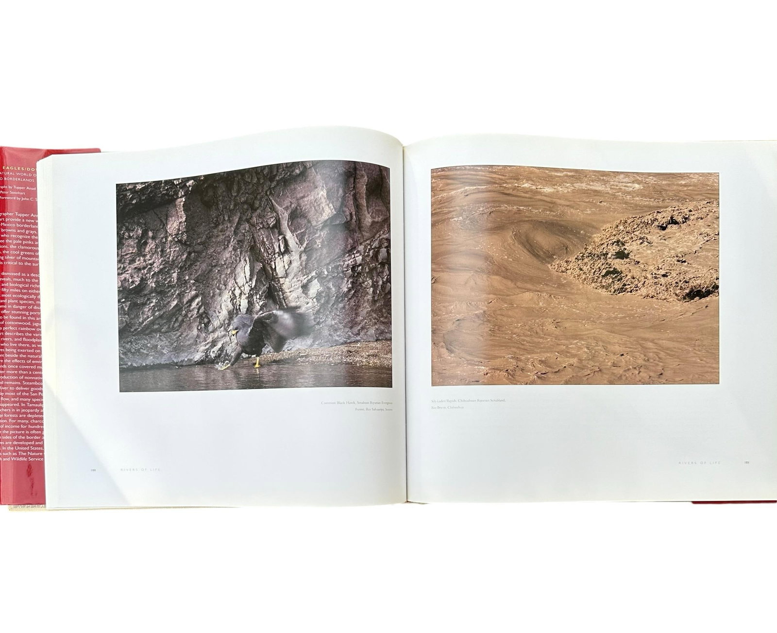 Vintage Large Centennial Hardcover Coffee Table Photography Book Two Eagles; Dos Aguilas: The Natura - 10