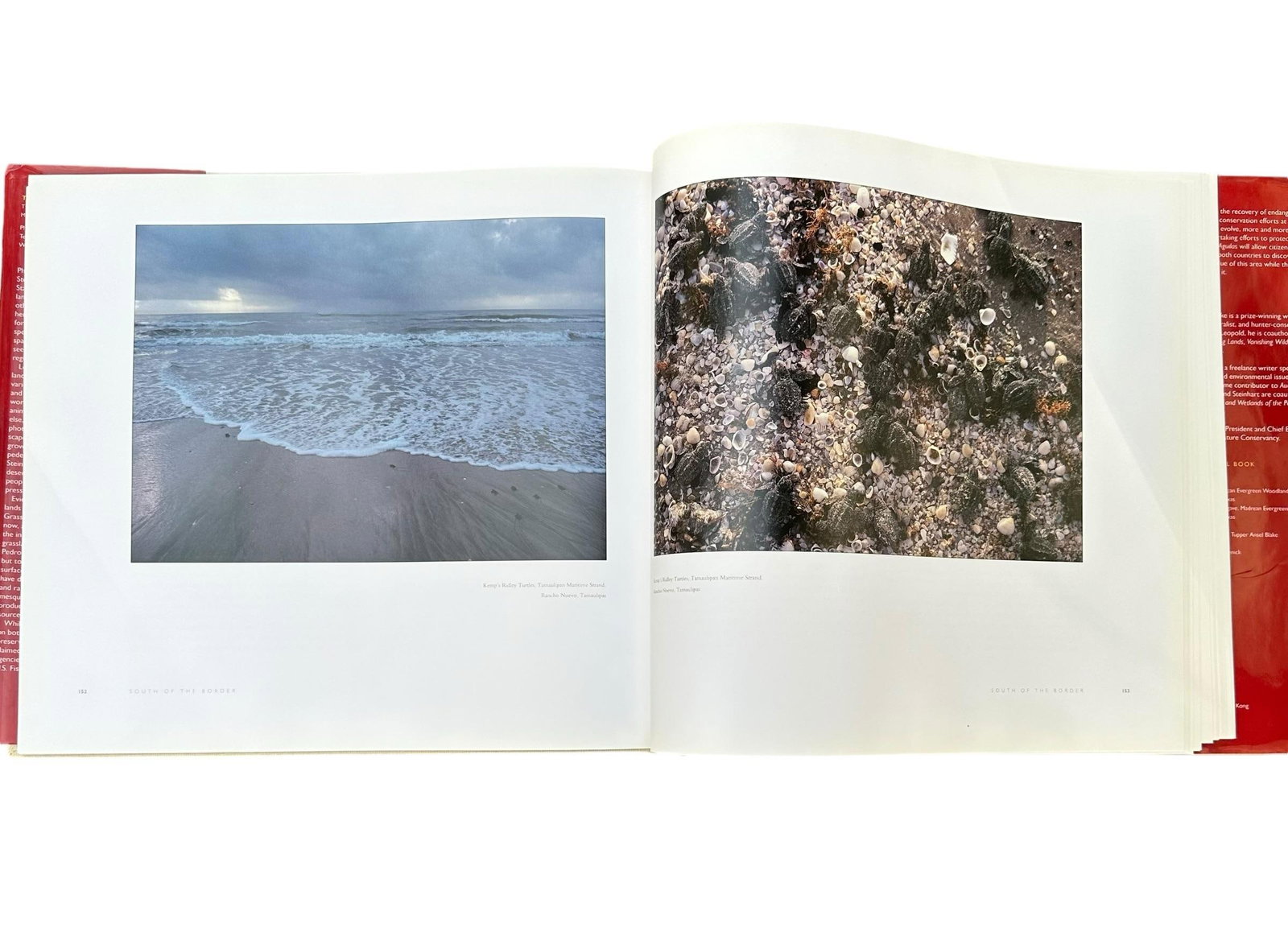 Vintage Large Centennial Hardcover Coffee Table Photography Book Two Eagles; Dos Aguilas: The Natura - 11