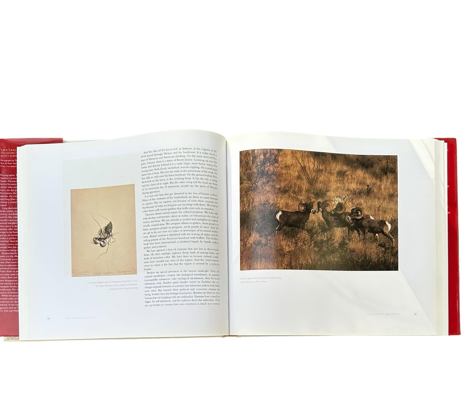 Vintage Large Centennial Hardcover Coffee Table Photography Book Two Eagles; Dos Aguilas: The Natura - 12
