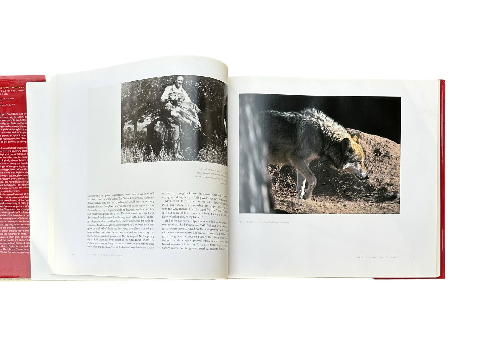 Vintage Large Centennial Hardcover Coffee Table Photography Book Two Eagles; Dos Aguilas: The Natura - 6