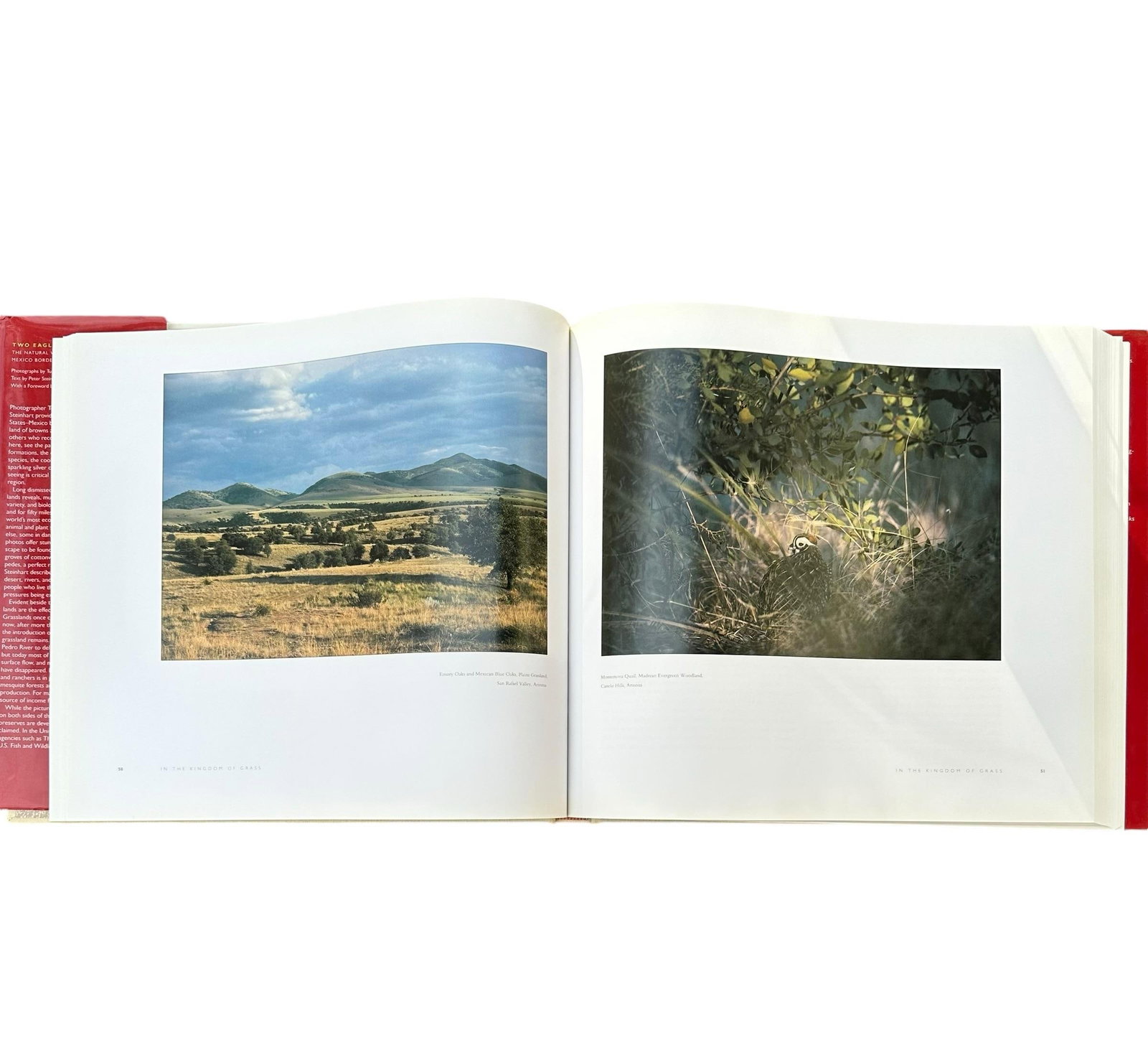Vintage Large Centennial Hardcover Coffee Table Photography Book Two Eagles; Dos Aguilas: The Natura - 7