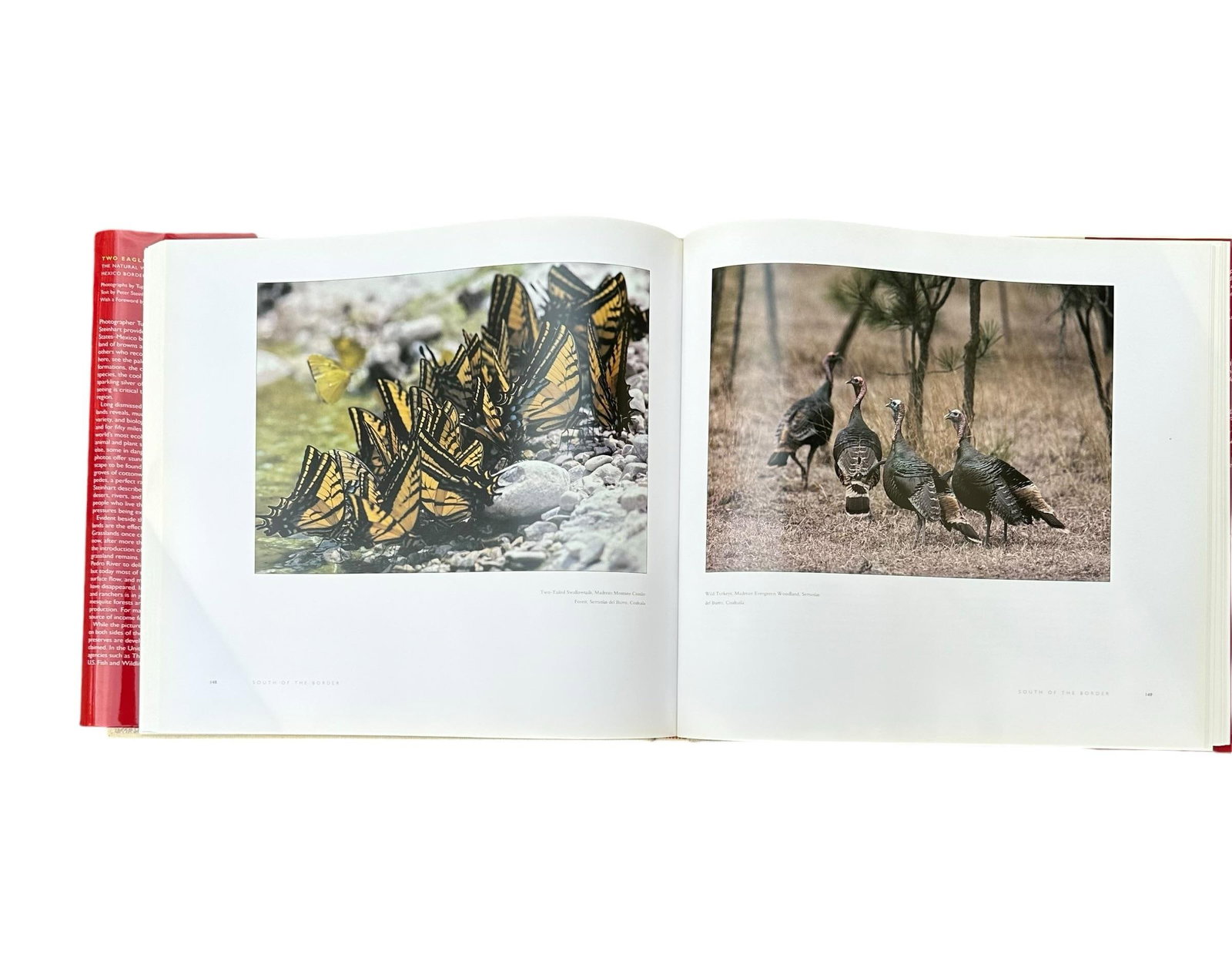 Vintage Large Centennial Hardcover Coffee Table Photography Book Two Eagles; Dos Aguilas: The Natura - 8