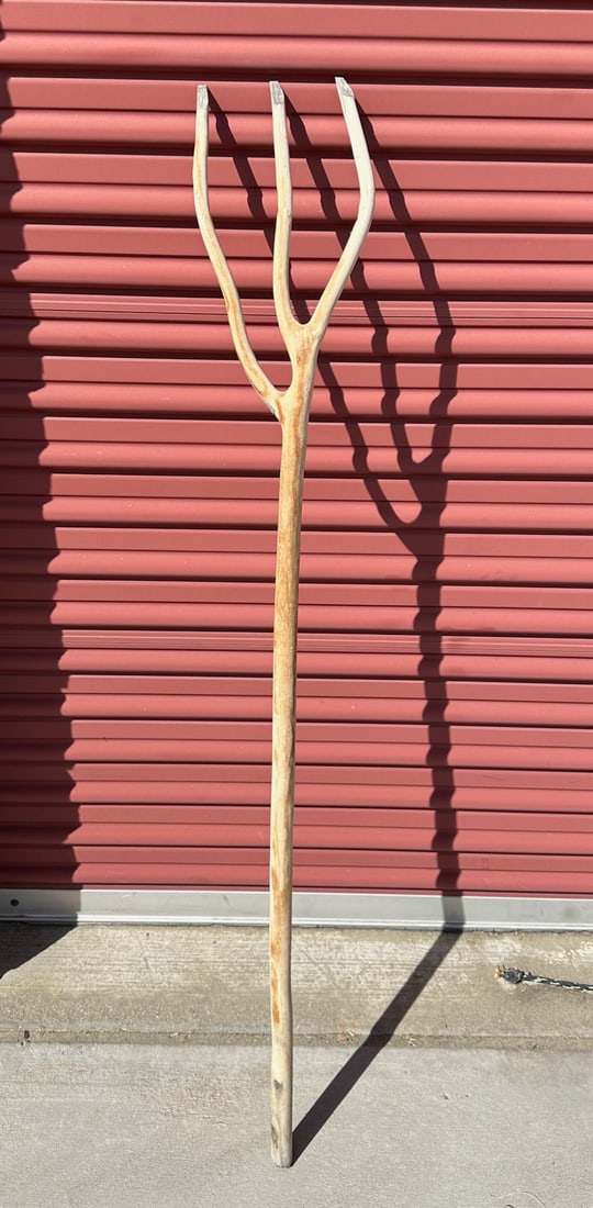 Antique Tree Fork - 2