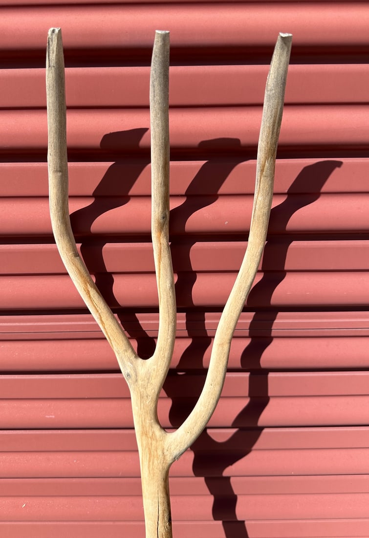 Antique Tree Fork - 3