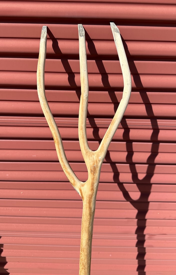 Antique Tree Fork - 5