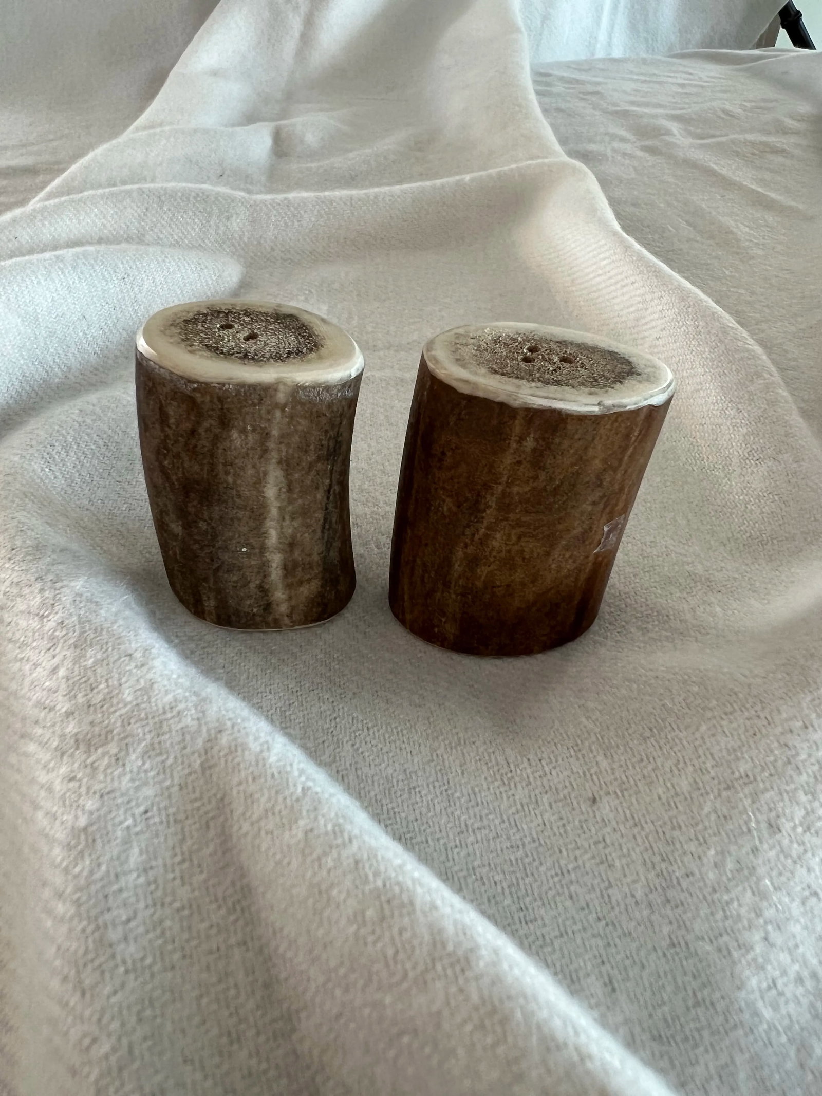 Vintage Moose Antler Salt and Pepper Shakers - 4