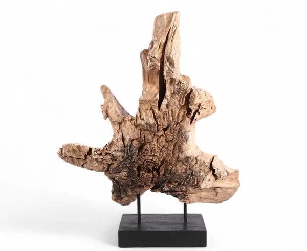 Table Top Organic Teak Sculpture- 42" Inch Tall - 2