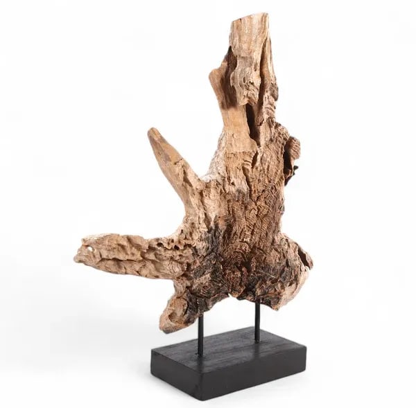 Table Top Organic Teak Sculpture- 42" Inch Tall - 3