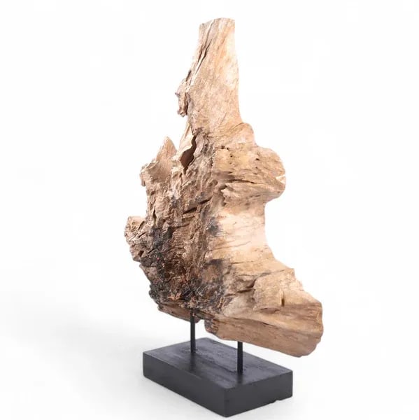 Table Top Organic Teak Sculpture- 42" Inch Tall - 4