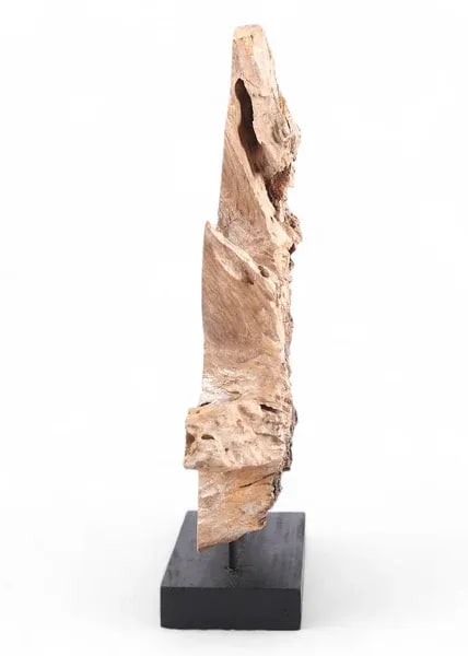 Table Top Organic Teak Sculpture- 42" Inch Tall - 5