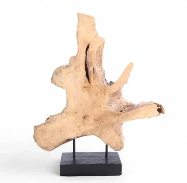 Table Top Organic Teak Sculpture- 42" Inch Tall - 6