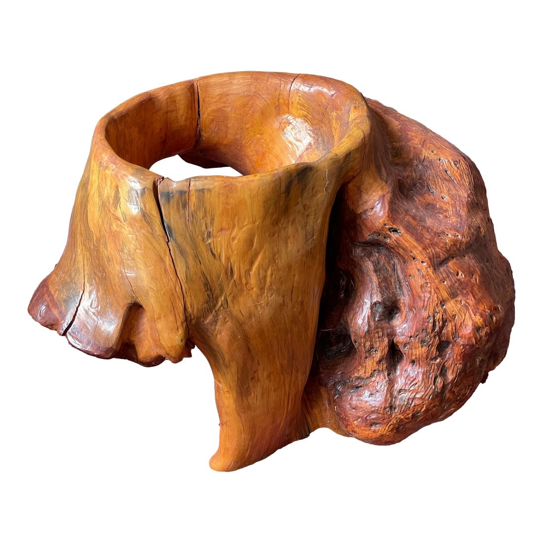 Abstract Free Form Burled Wood Sculpture Plant Stand Modern: This is a great looking finished piece of free form wood with a huge and interesting burl that is signed Tc and dated 2014 on the bottom. It would be wonderful with a plant, the top of the opening is