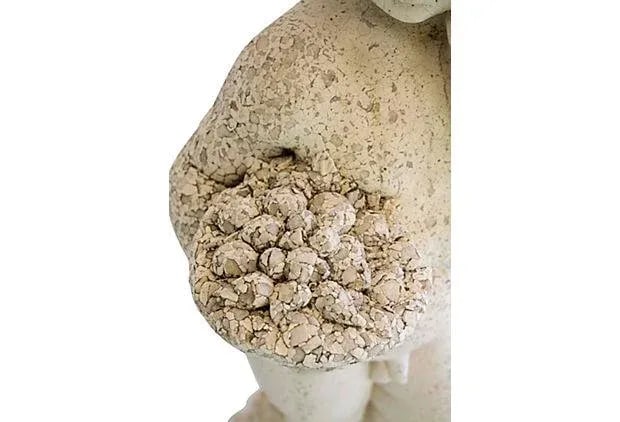 Putto Garden Statue - 6