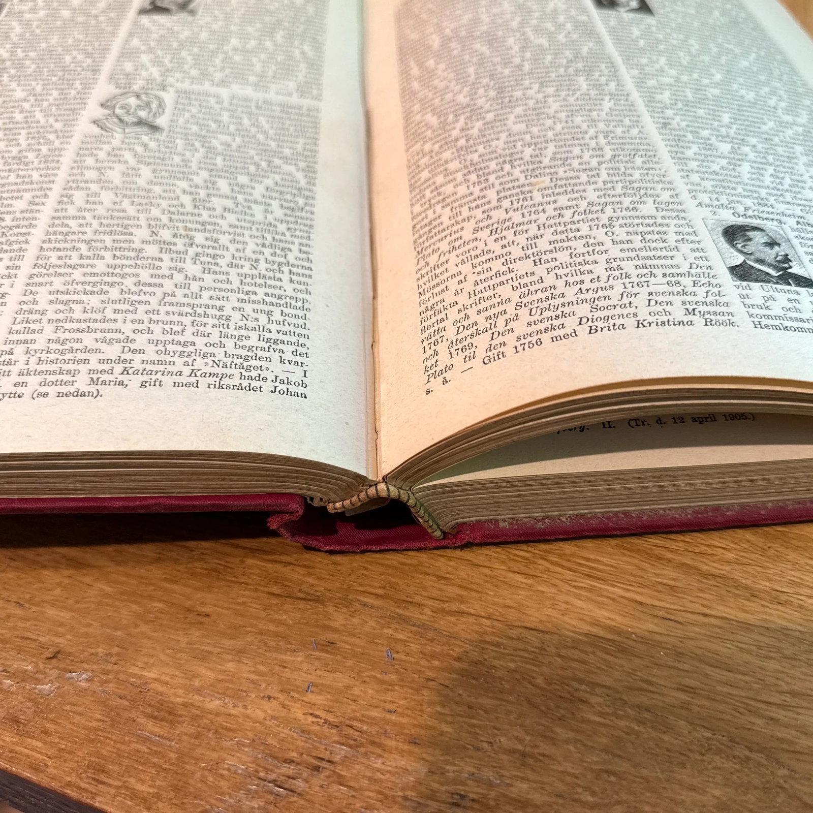 1905 Swedish Literature Antique Hardcover Kushan for Alla Knowledge for All - 11