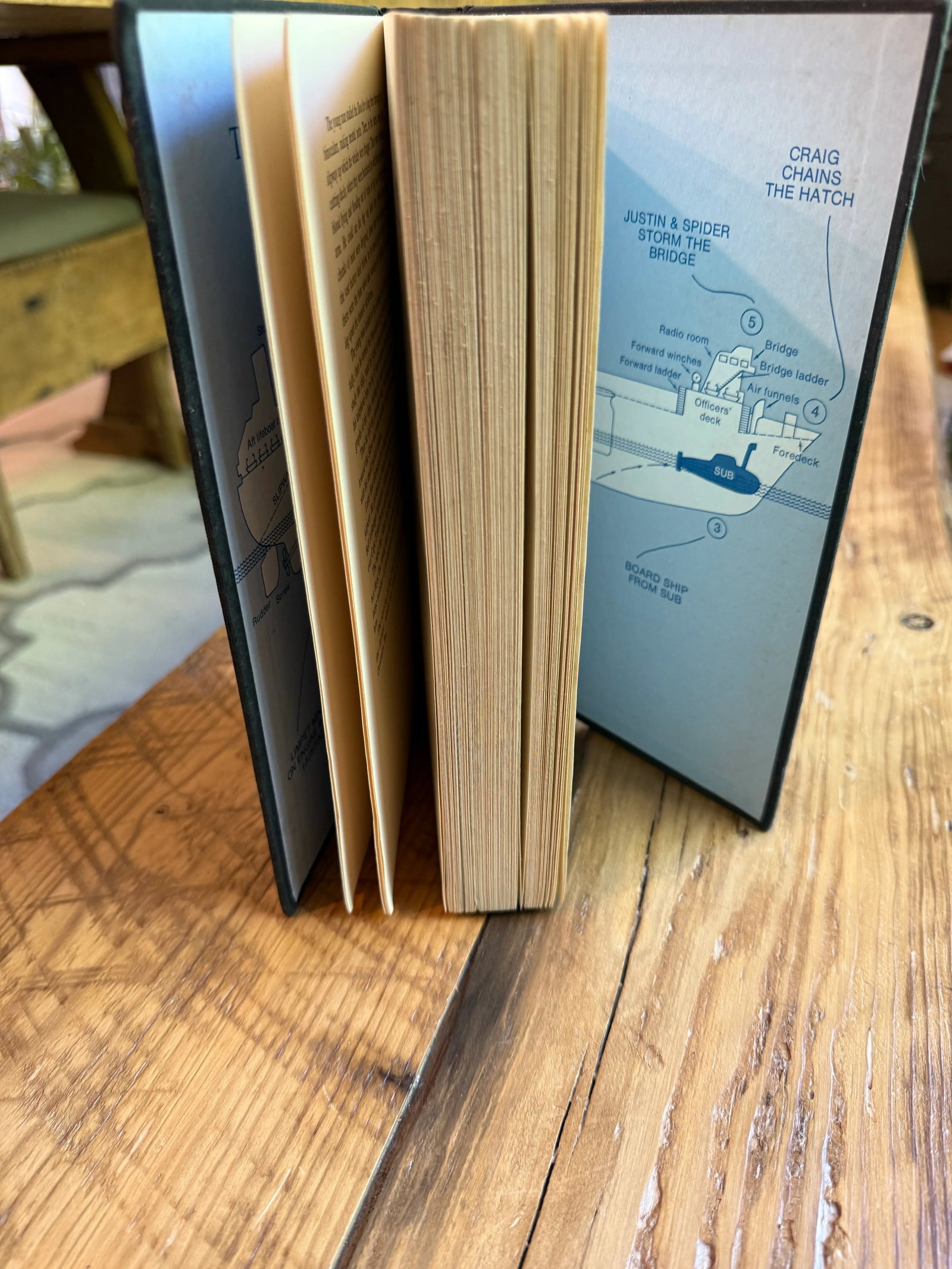 First Edition 1976 Hardcover Book Leviathan by John Gordon Davis - 9