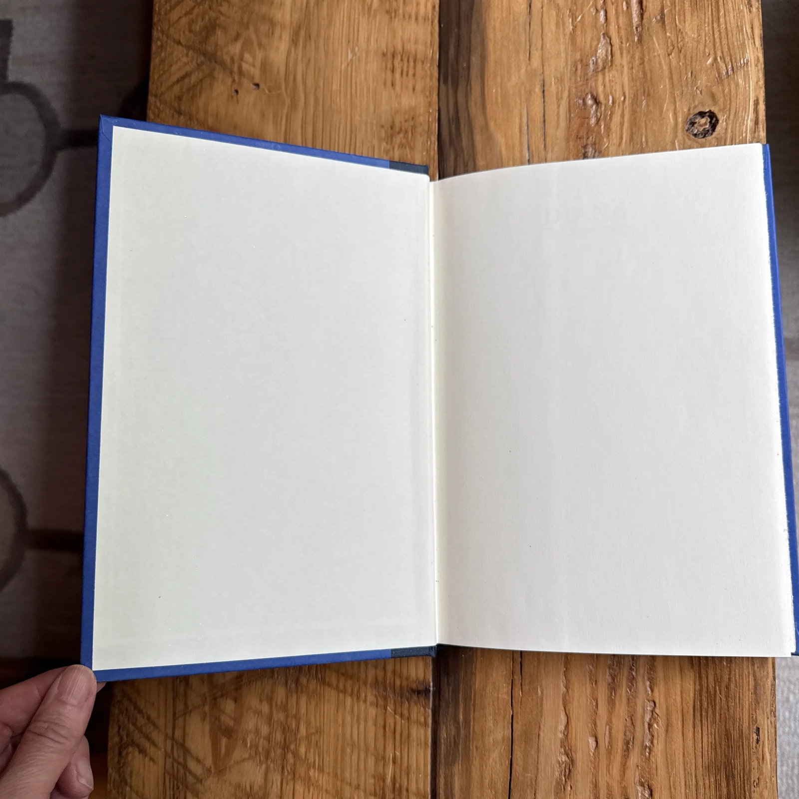 First Edition 1998 Diana the Secret Years Hardcover Book - 11