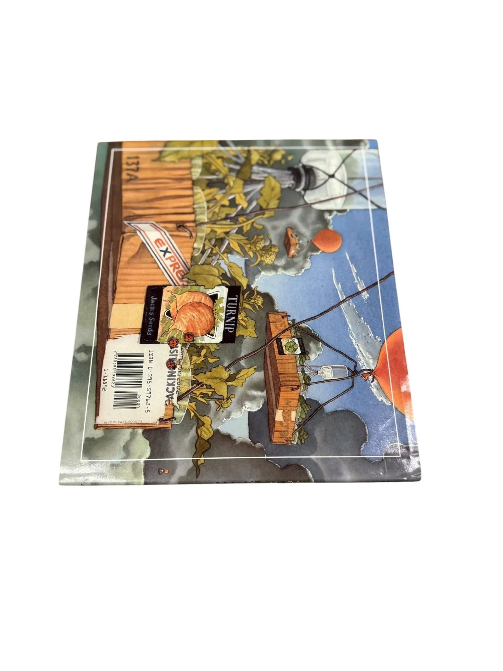 1992 First Edition Children's Hardcover Book June 29, 1999 by David Wiesner - 2