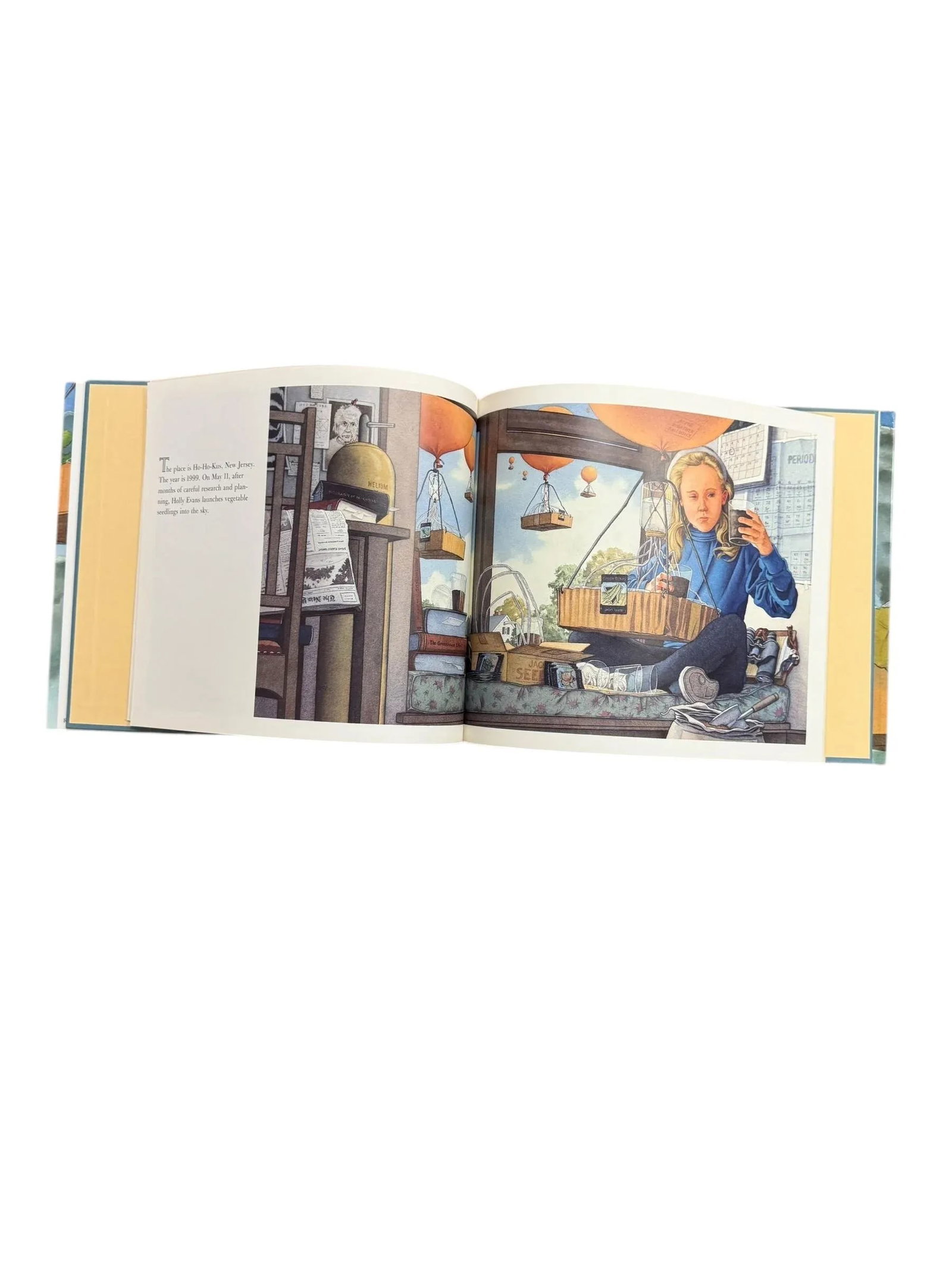 1992 First Edition Children's Hardcover Book June 29, 1999 by David Wiesner - 5