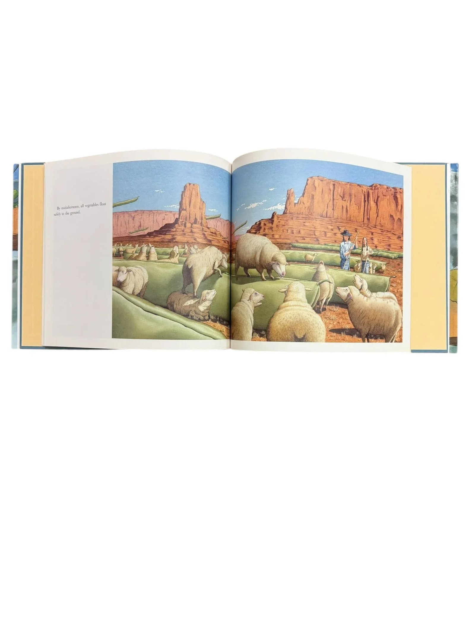 1992 First Edition Children's Hardcover Book June 29, 1999 by David Wiesner - 7