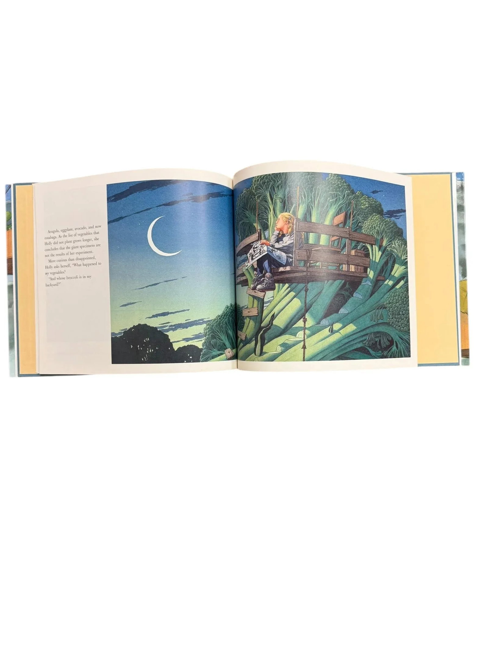 1992 First Edition Children's Hardcover Book June 29, 1999 by David Wiesner - 9