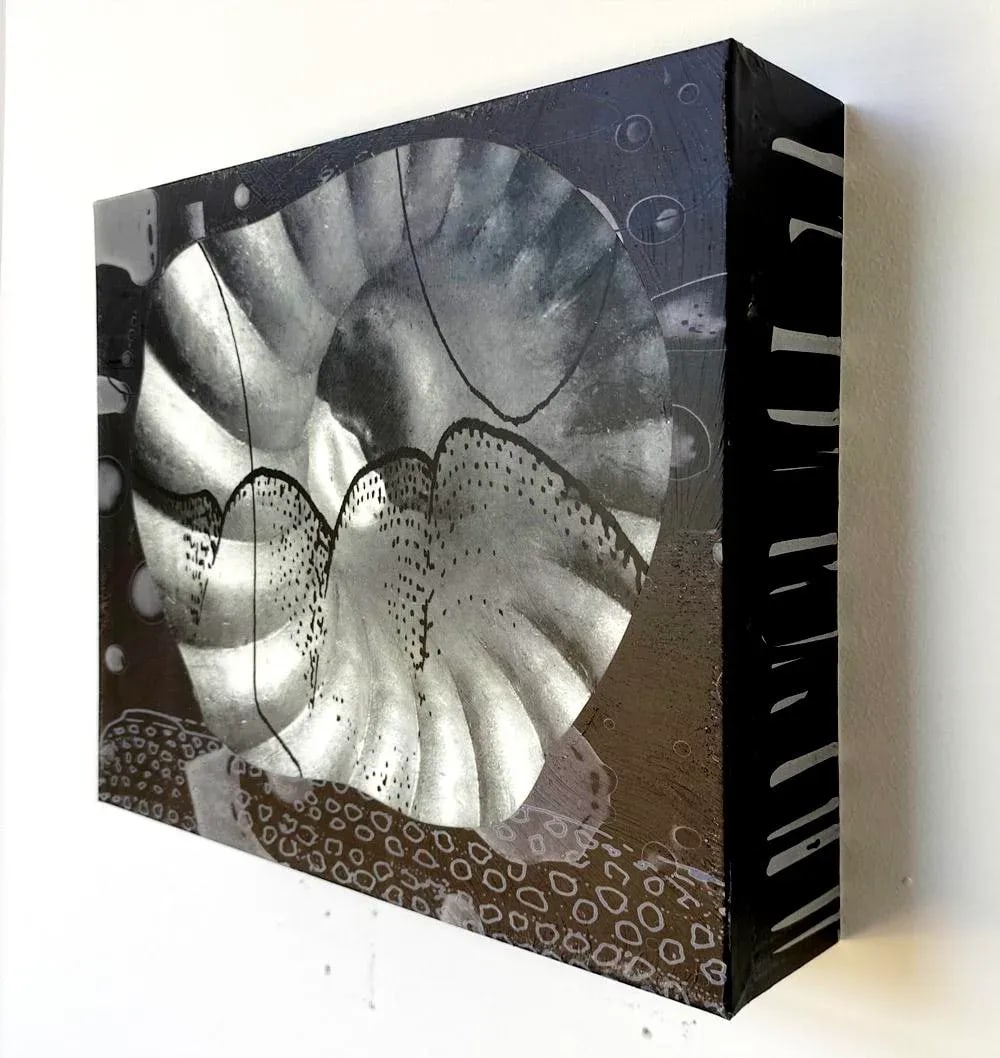 Elephant Ear by Michael DesRosiers Abstract Mixed Media on a MDF Panel (2025) - 2